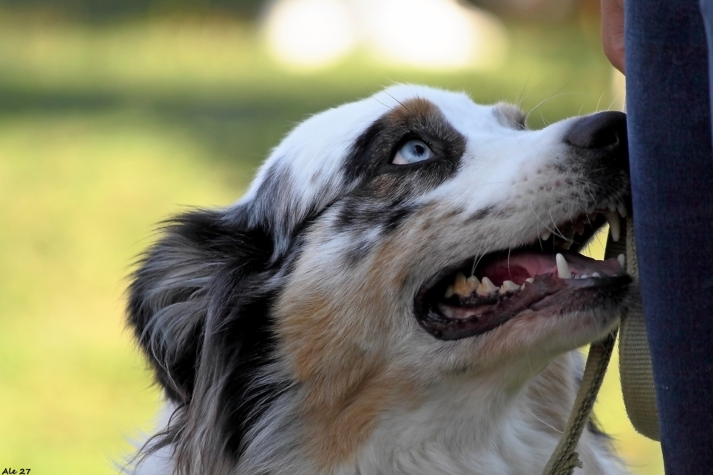 ... with all the love I can ...