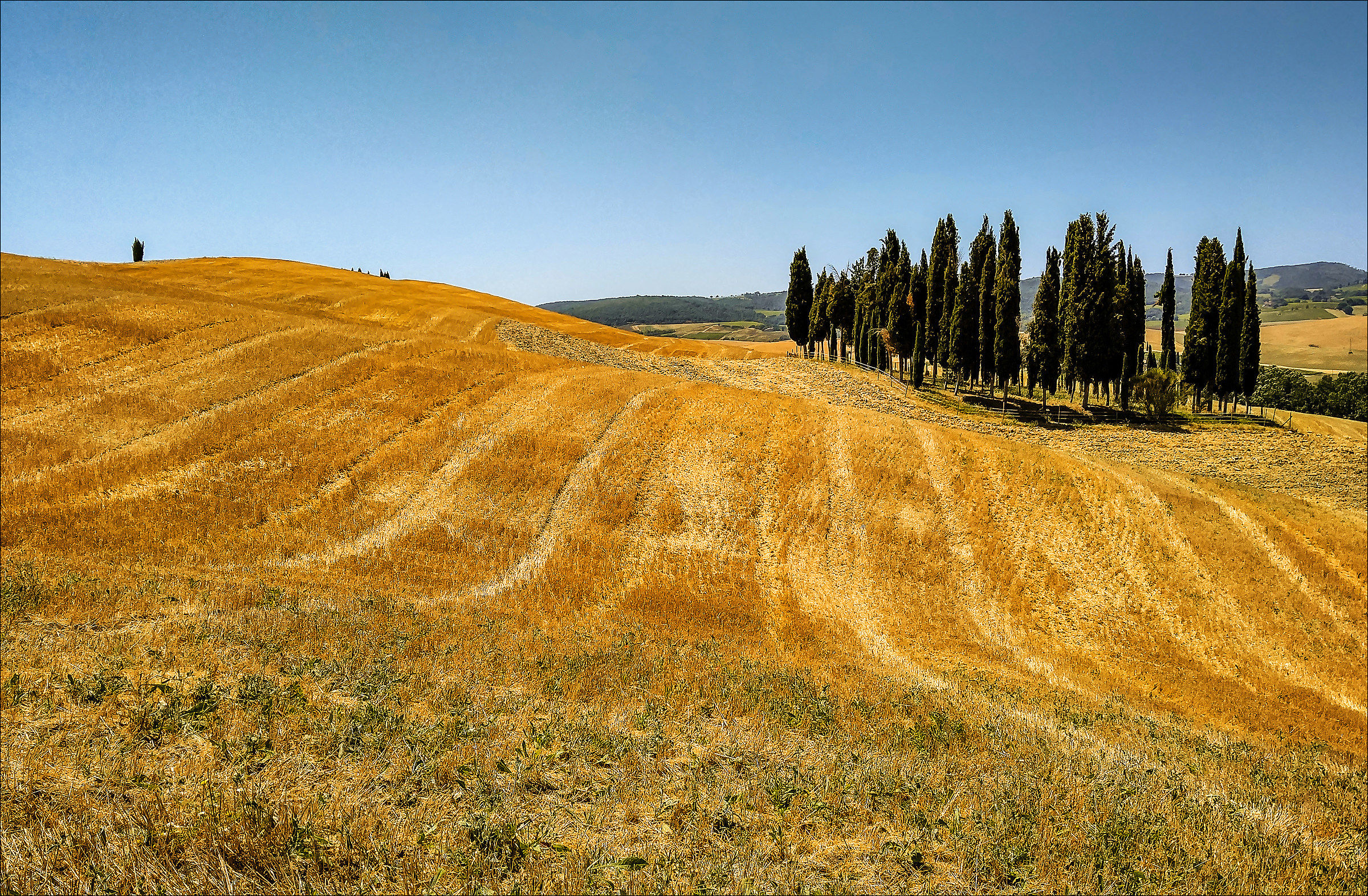 San Quirico d'Orcia - The cypresses