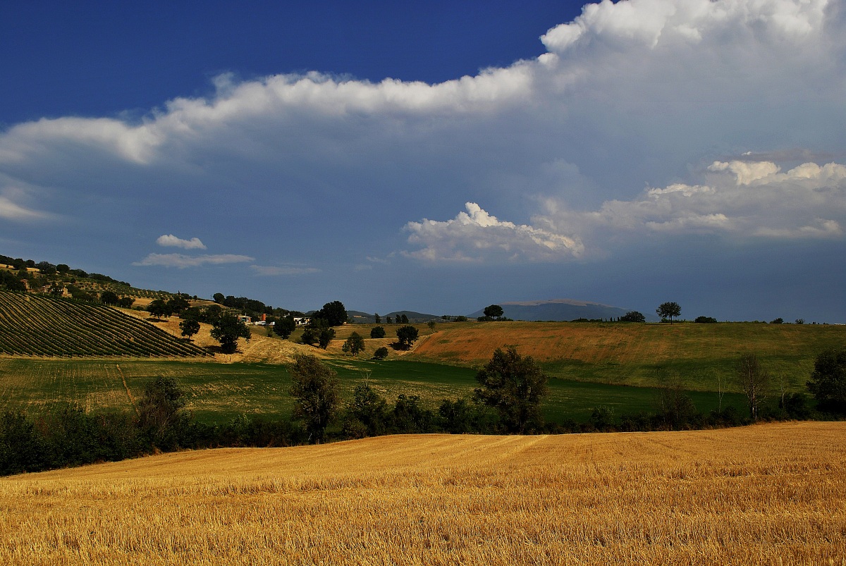 temporale in arrivo?