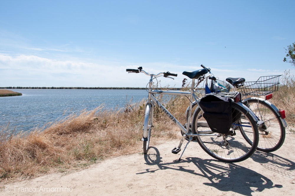 Arriving at the end of the road ...... the lagoon