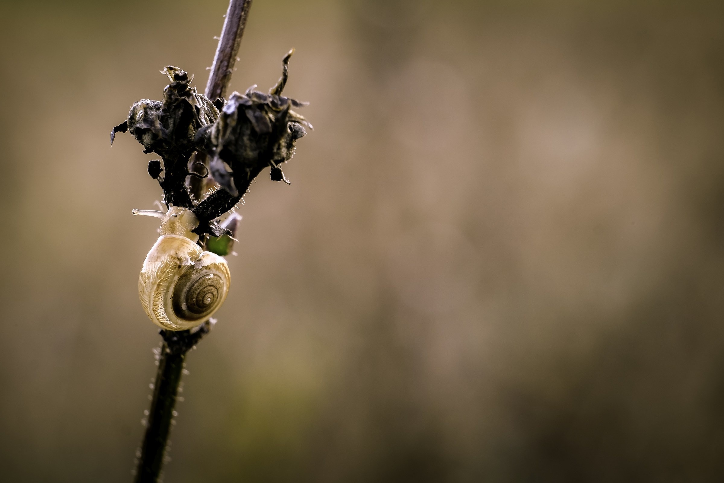 Un ostacolo alla volta...