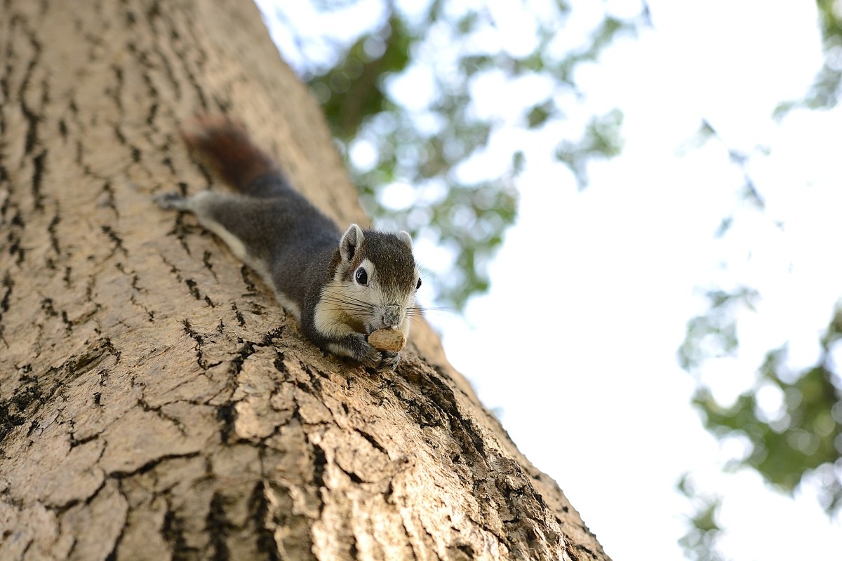 Colazione SottoSopra