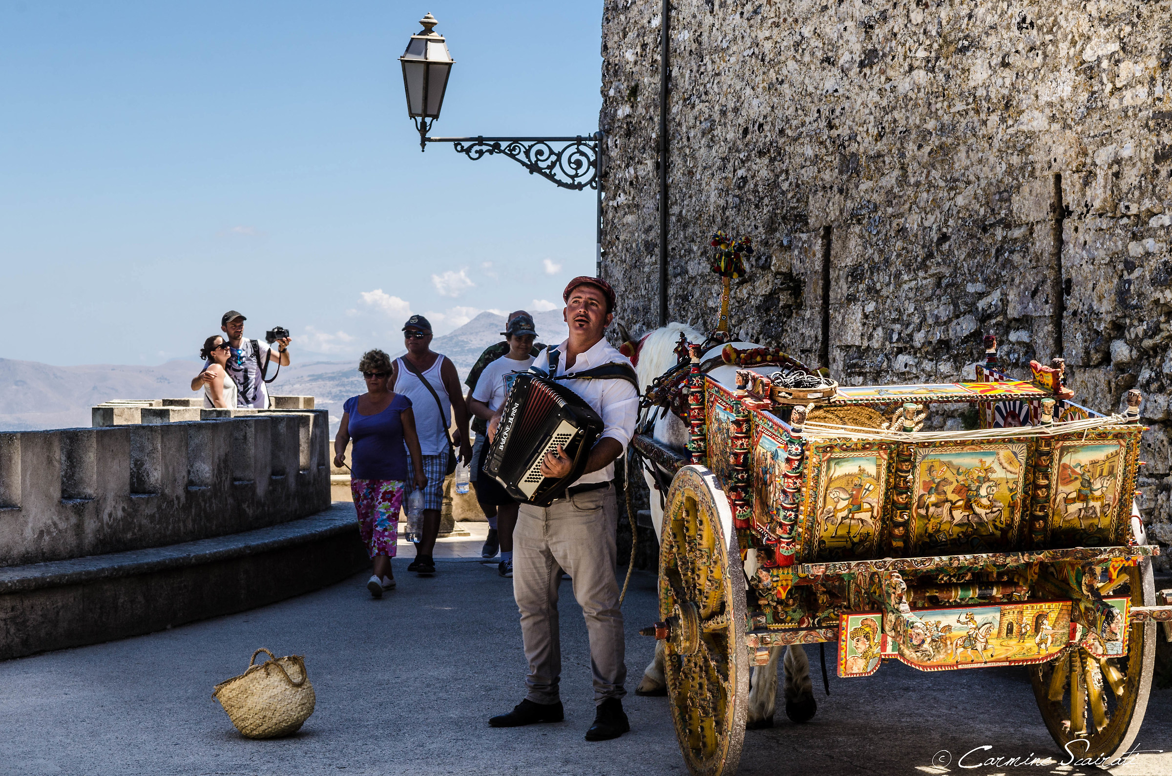Cart with the owner 1