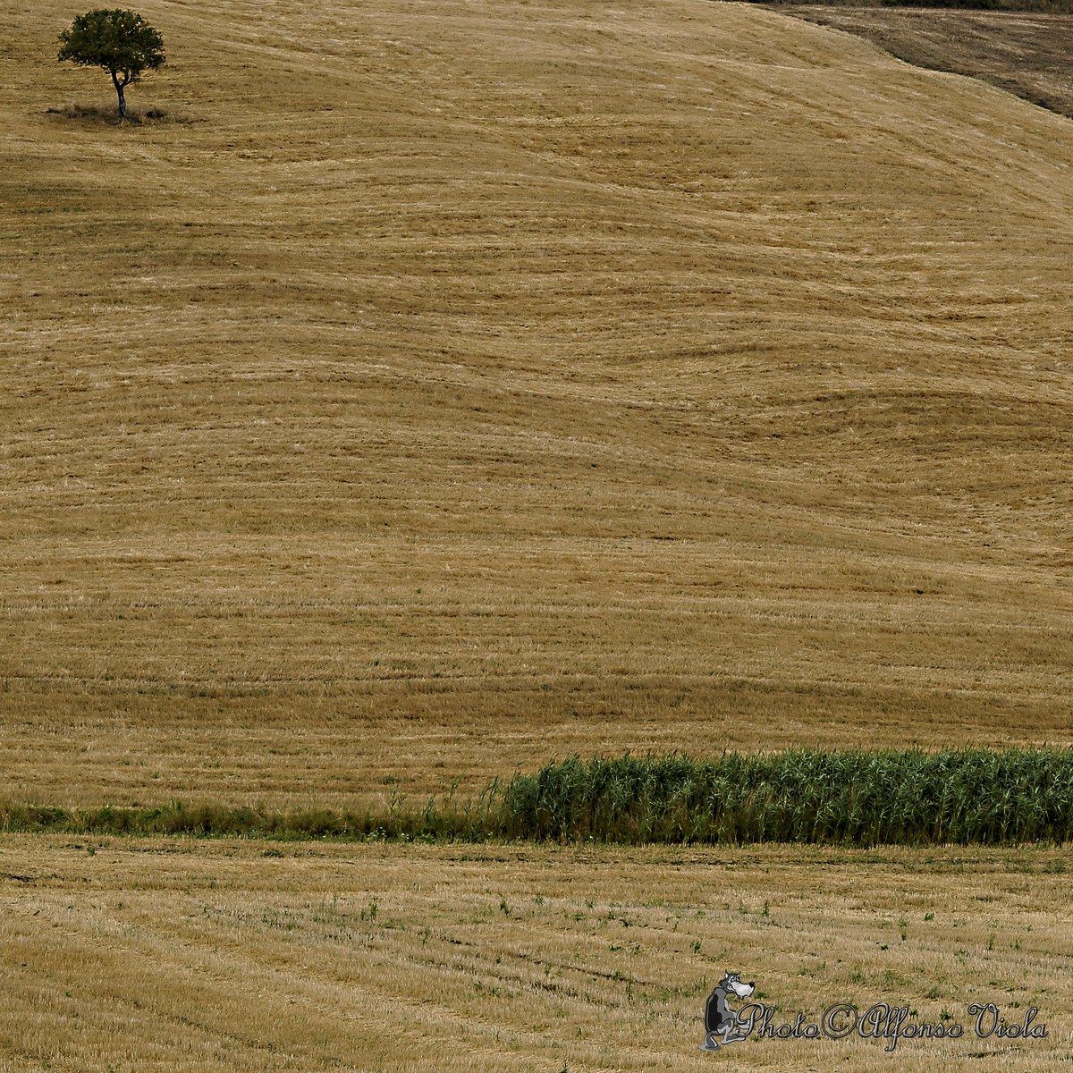 Vald'orcia al quadrato