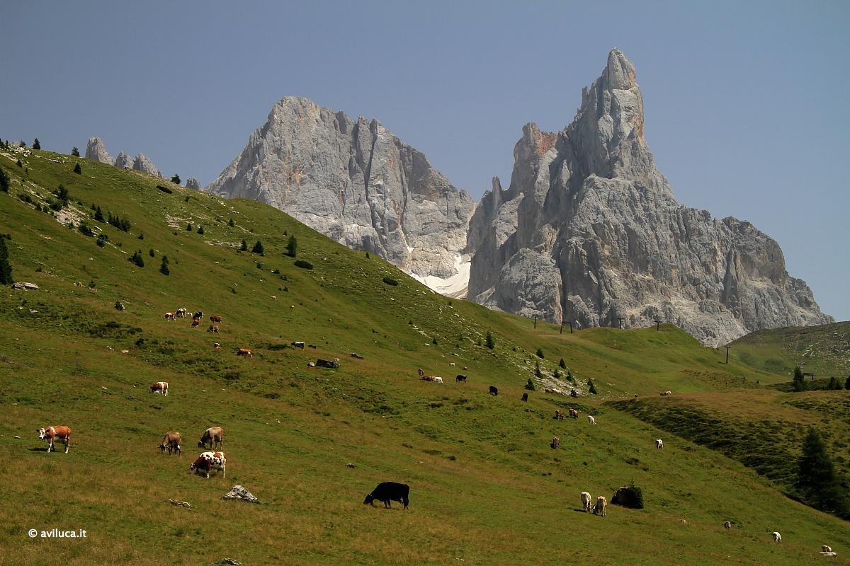 Cimon della Pala