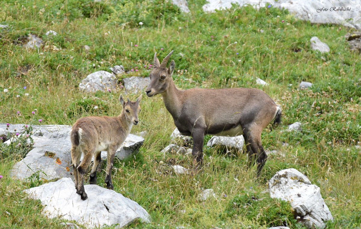 Ritratto di famiglia...