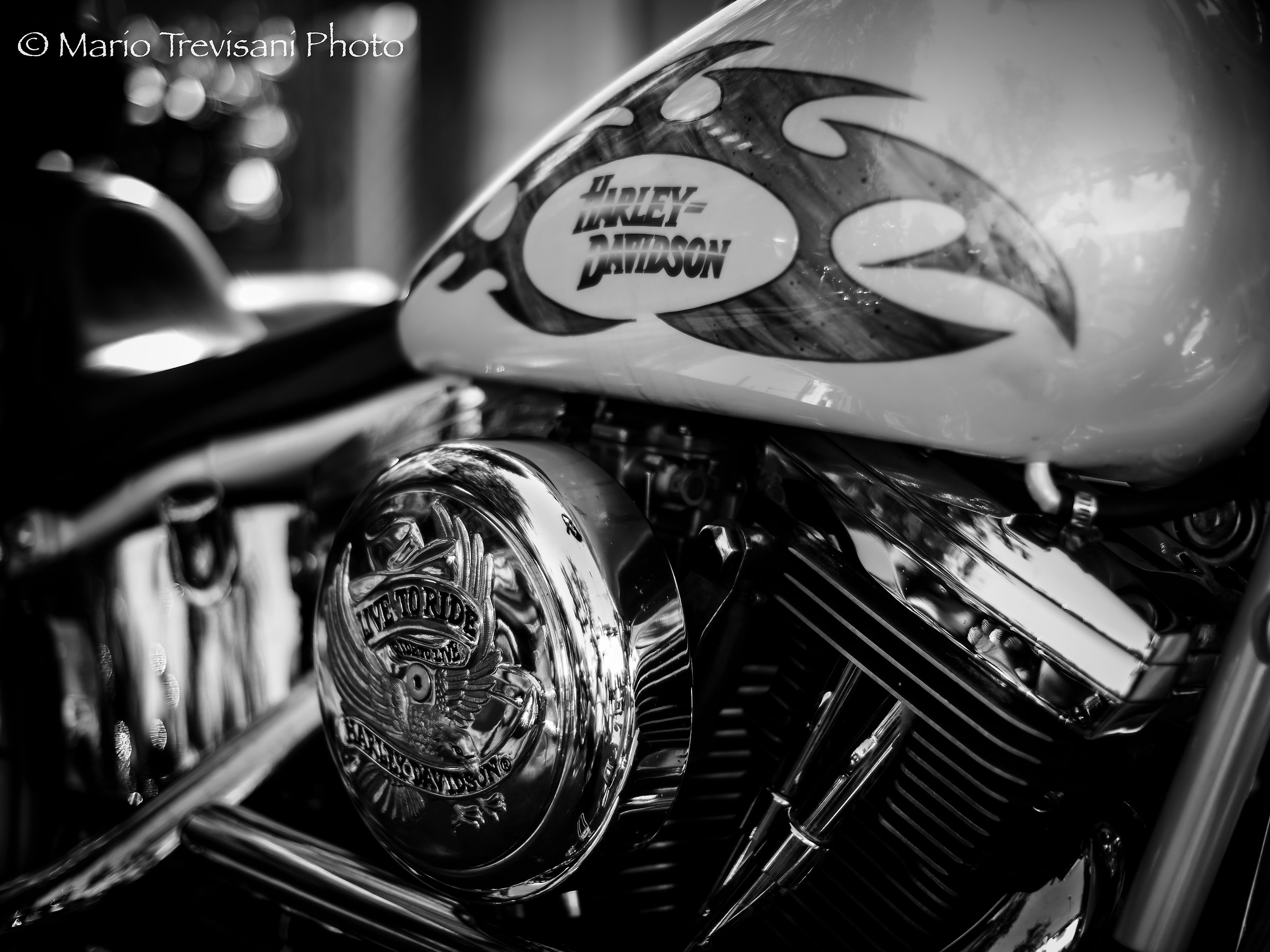 Harley Davidson