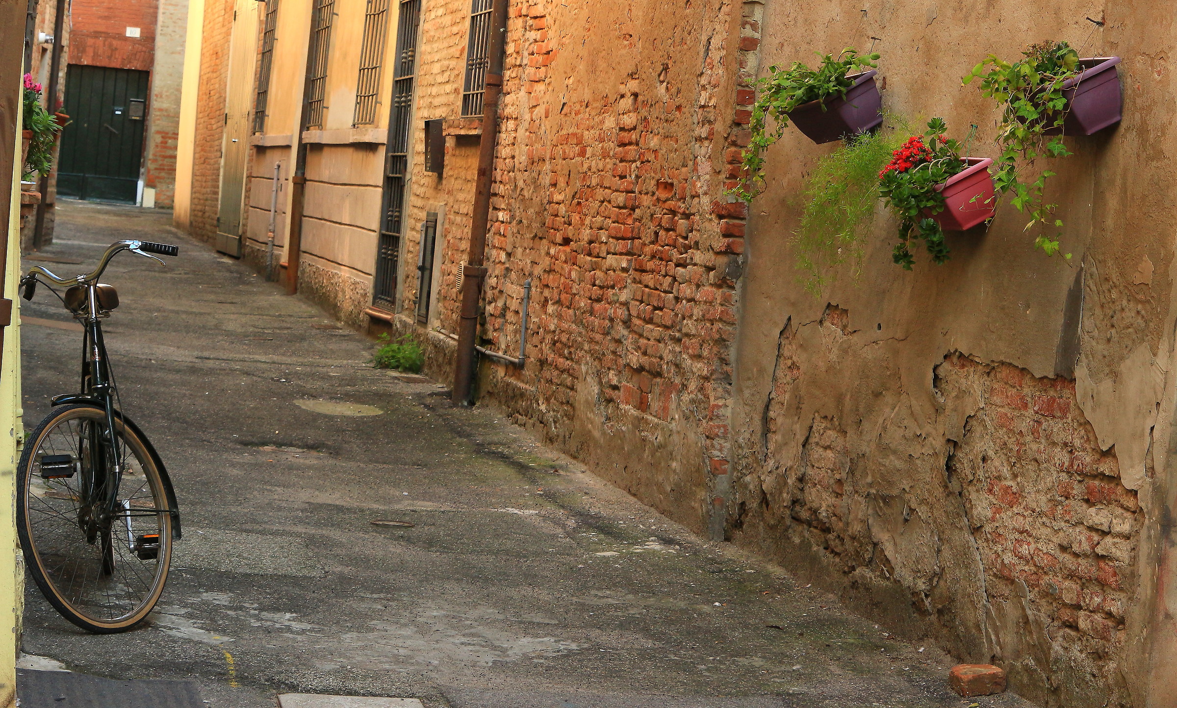 Vicolo Mozzo Torcicoda