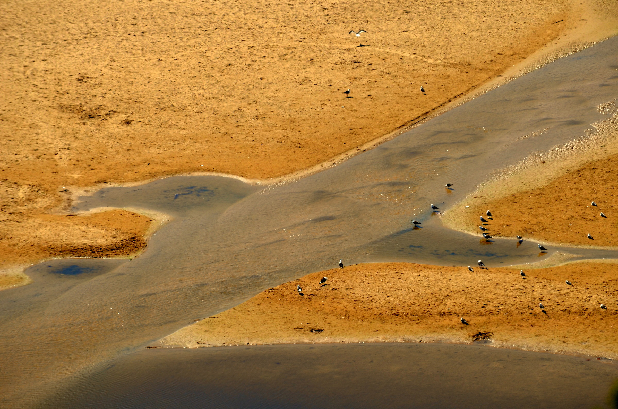 Walking around the "Capo"