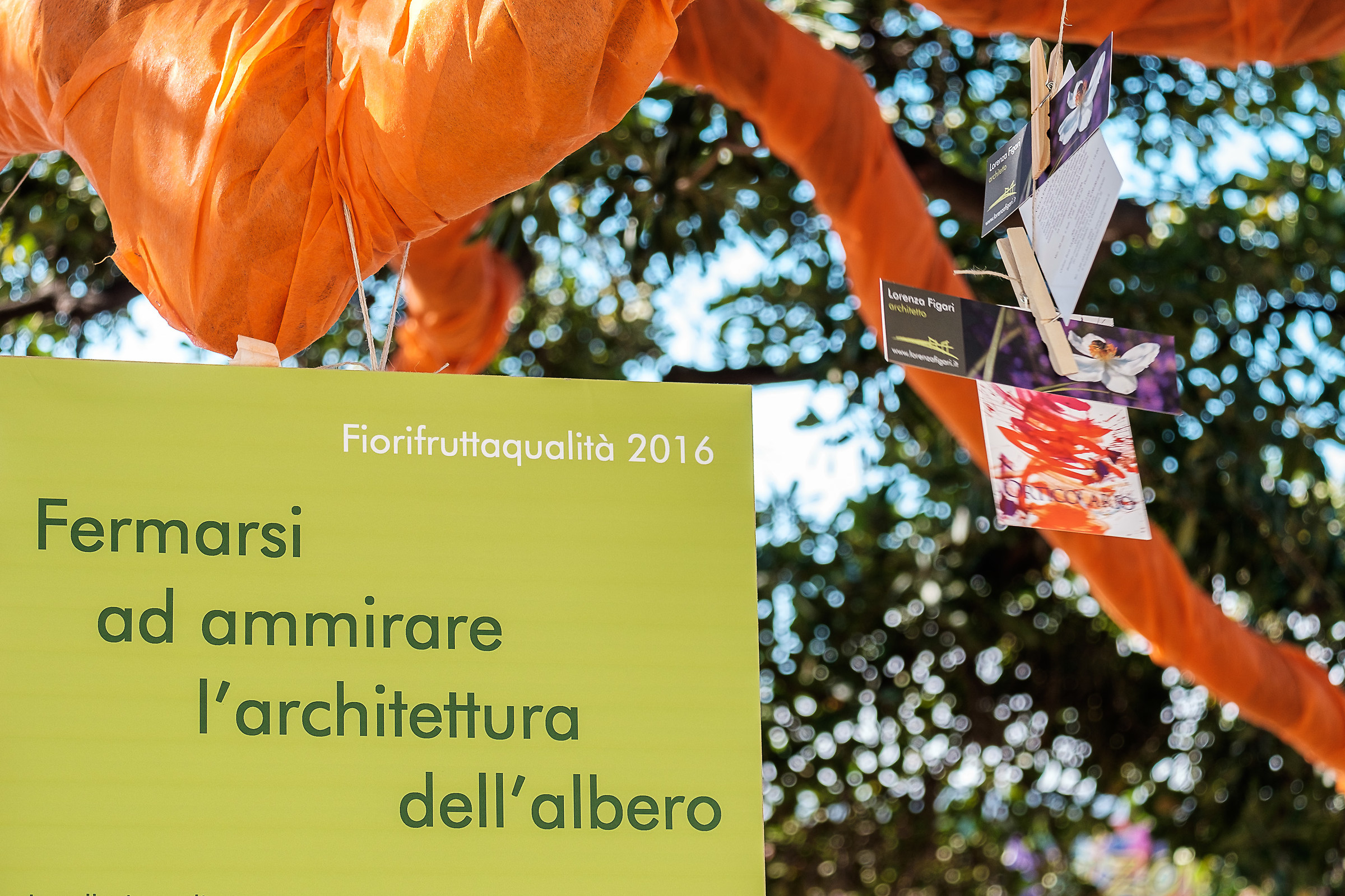 Stop to admire the tree structure