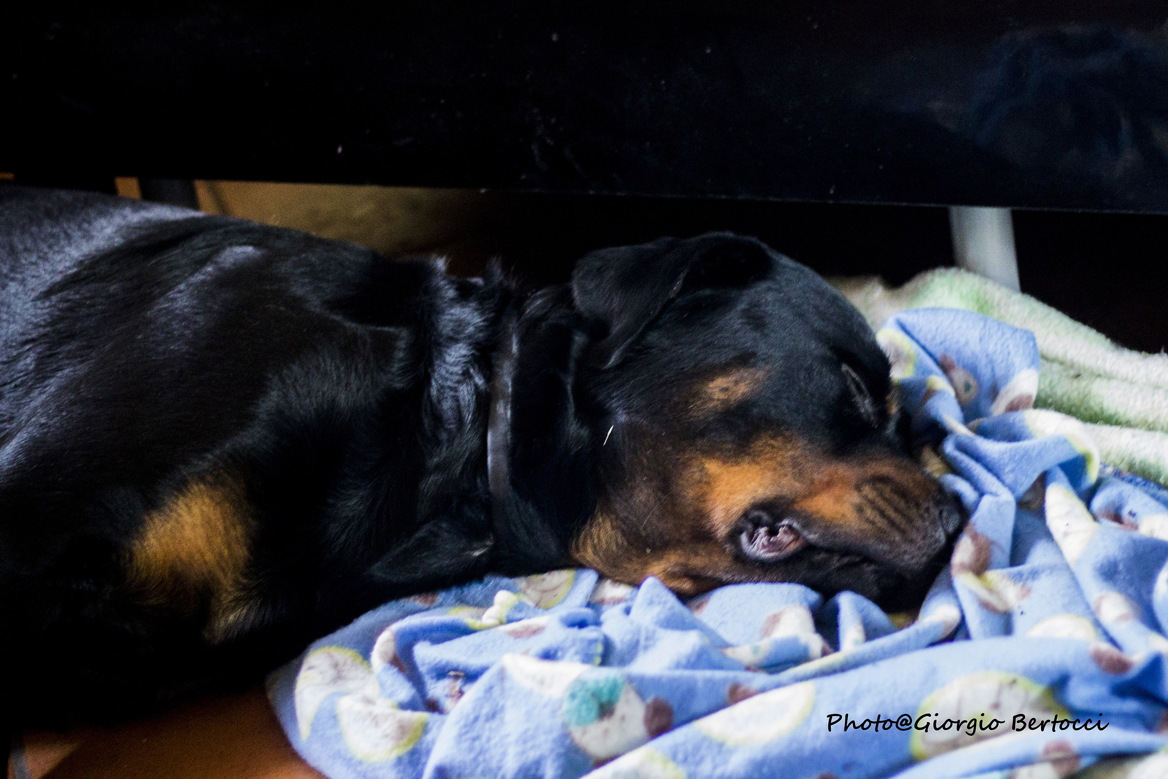 rest of the righteous