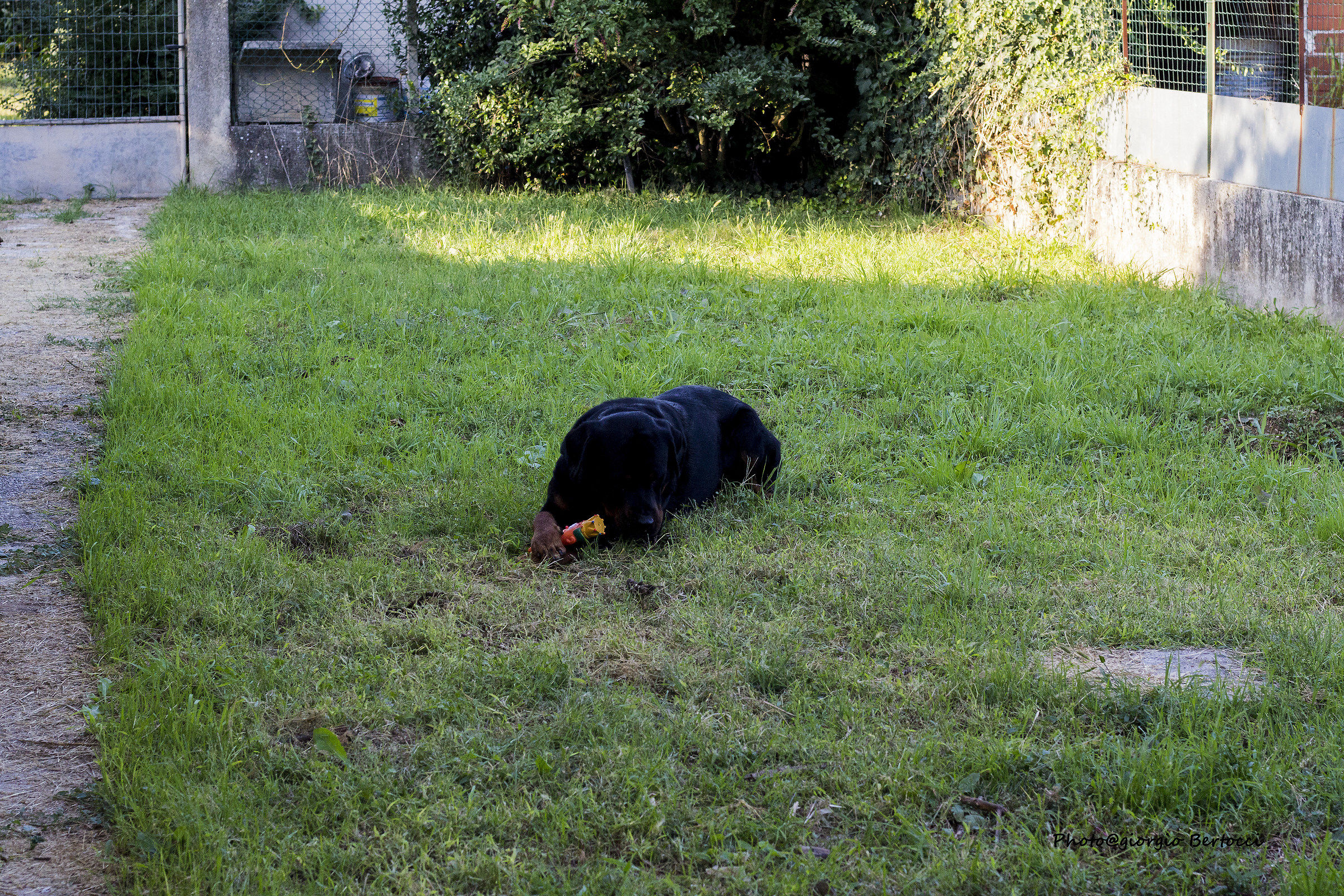 his 28.09 birthday, two years