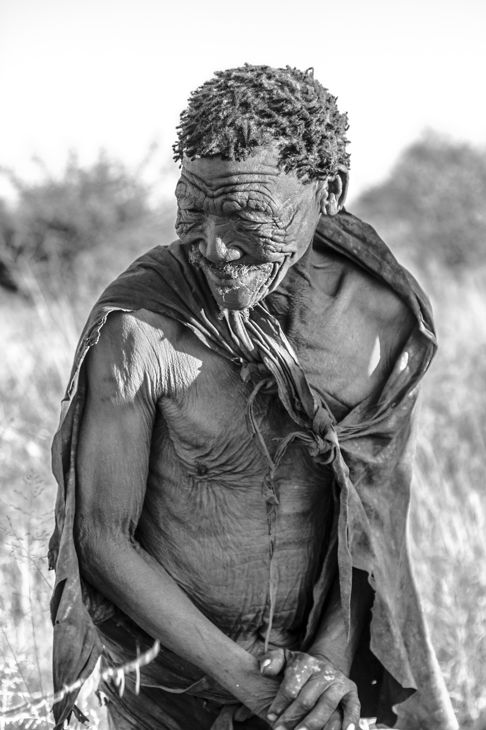 old bushman