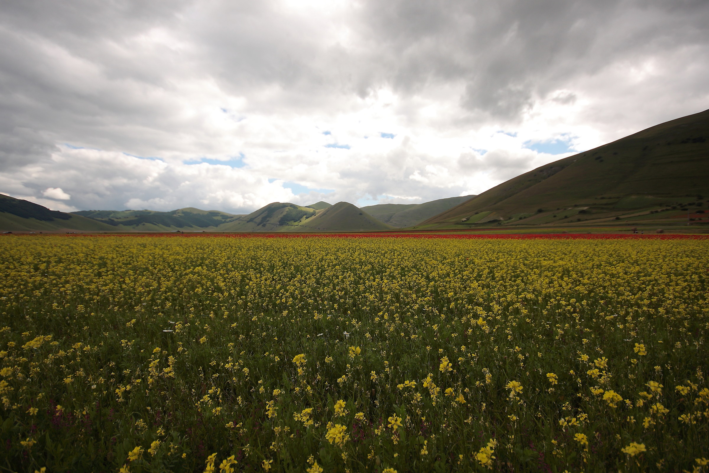 Quella sottile linea rossa