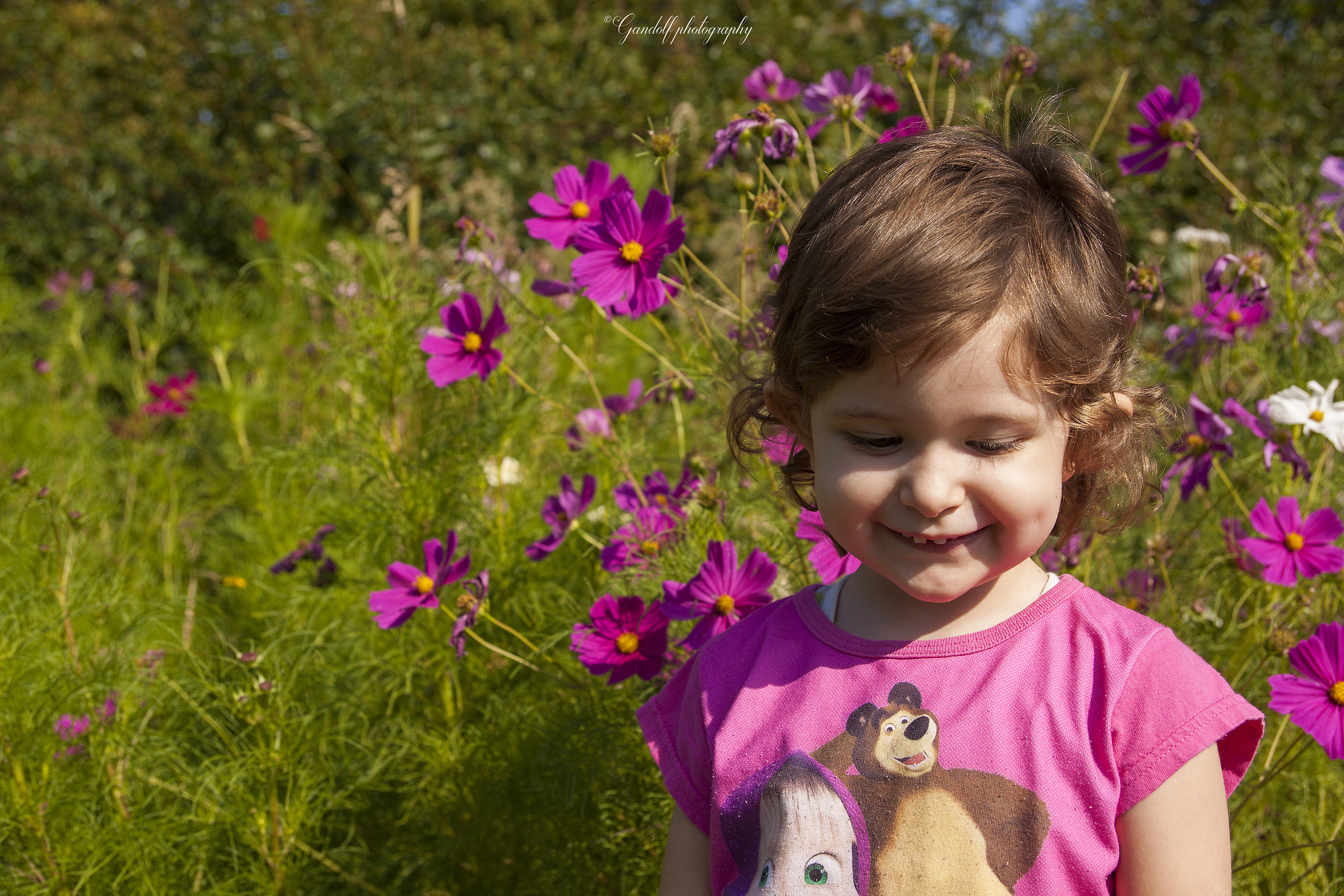 The most beautiful flower