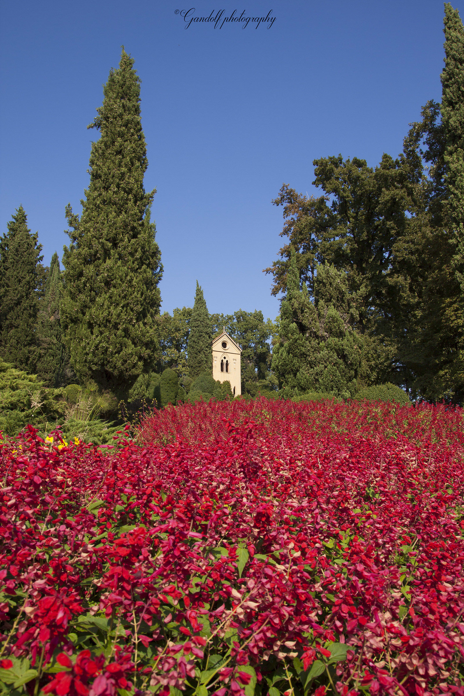 Immersed in the colors