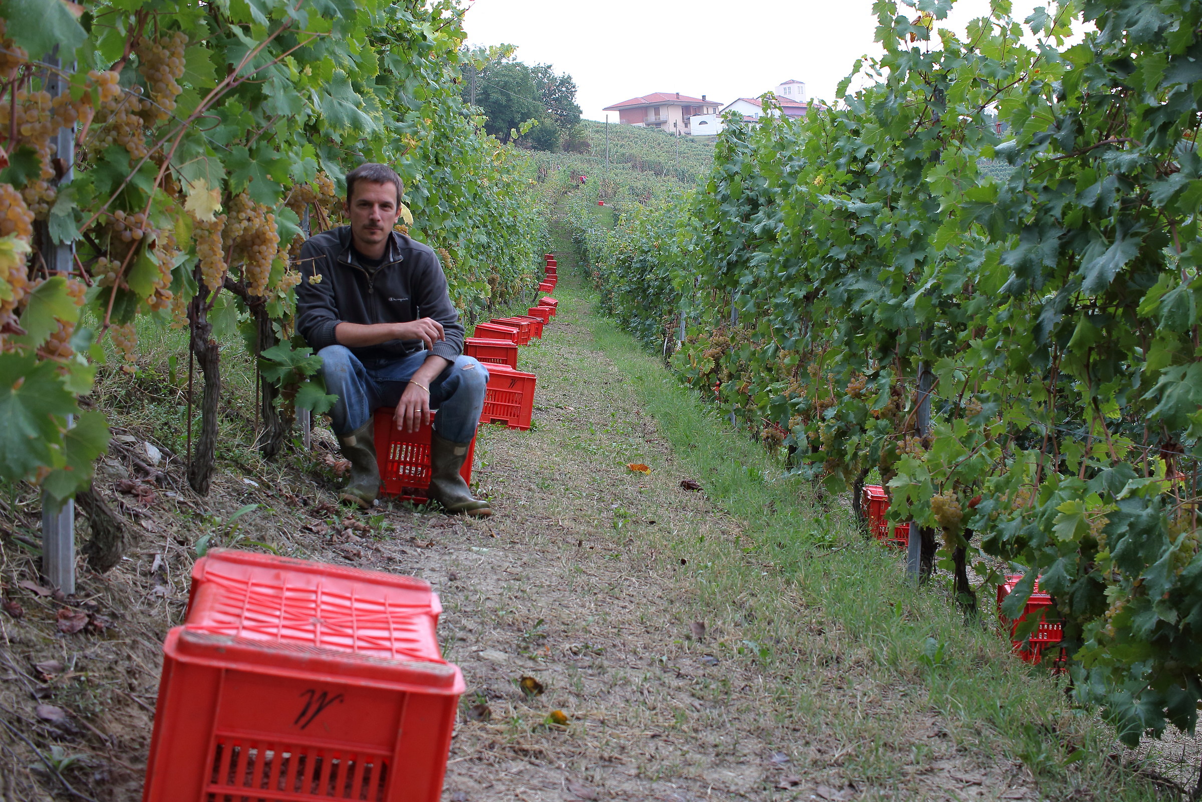 Self-portrait from the harvest