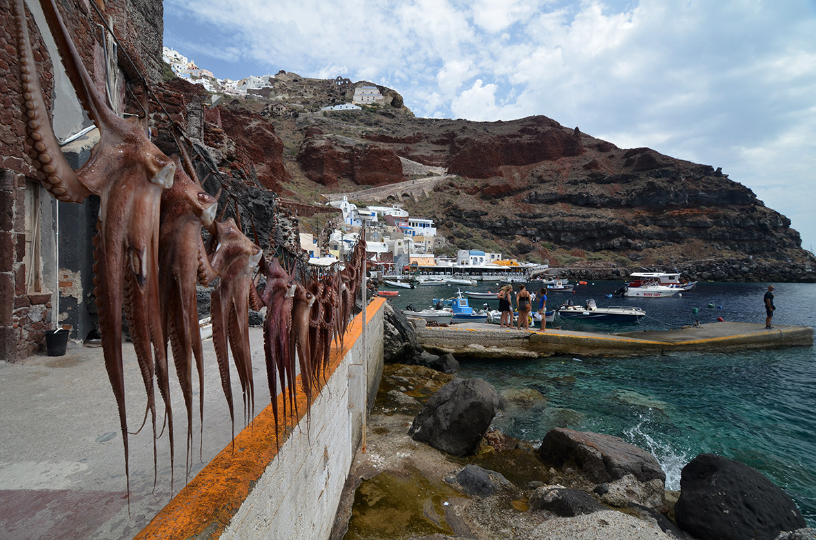 Octopus-Porto di Oia (Santorini)