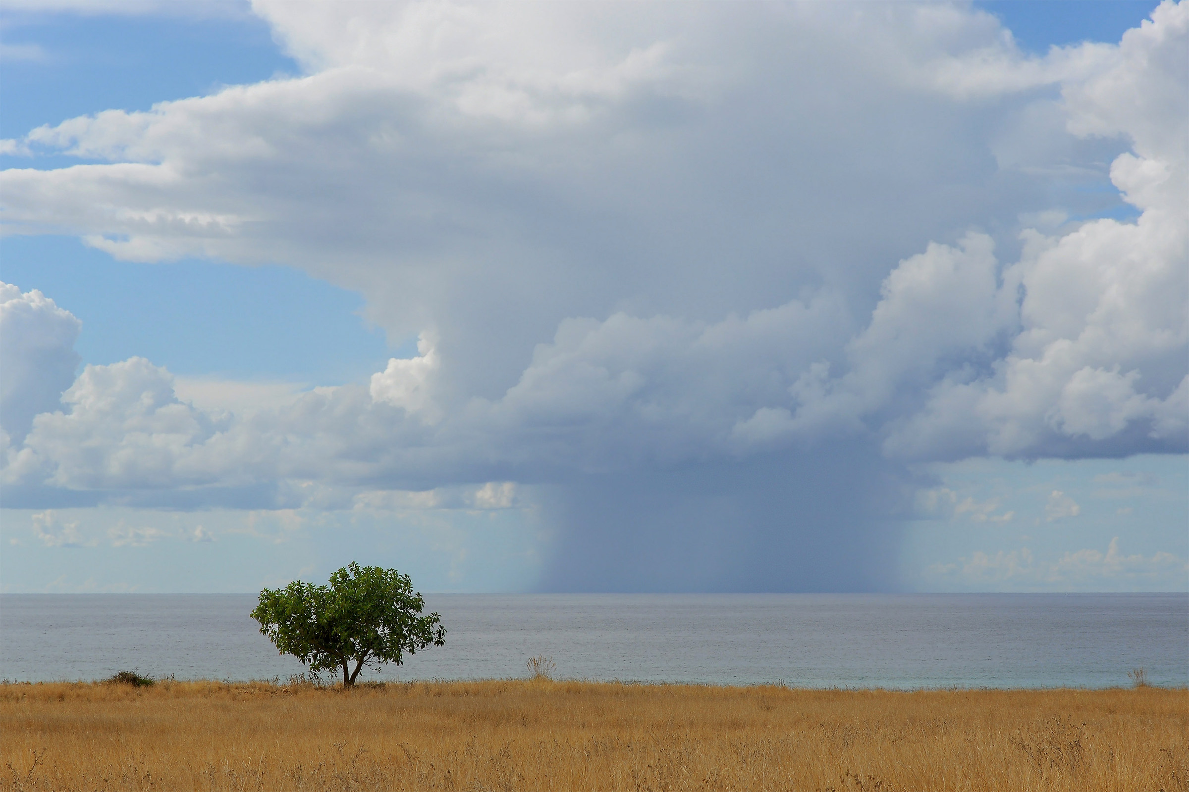 Storm coming in Macari