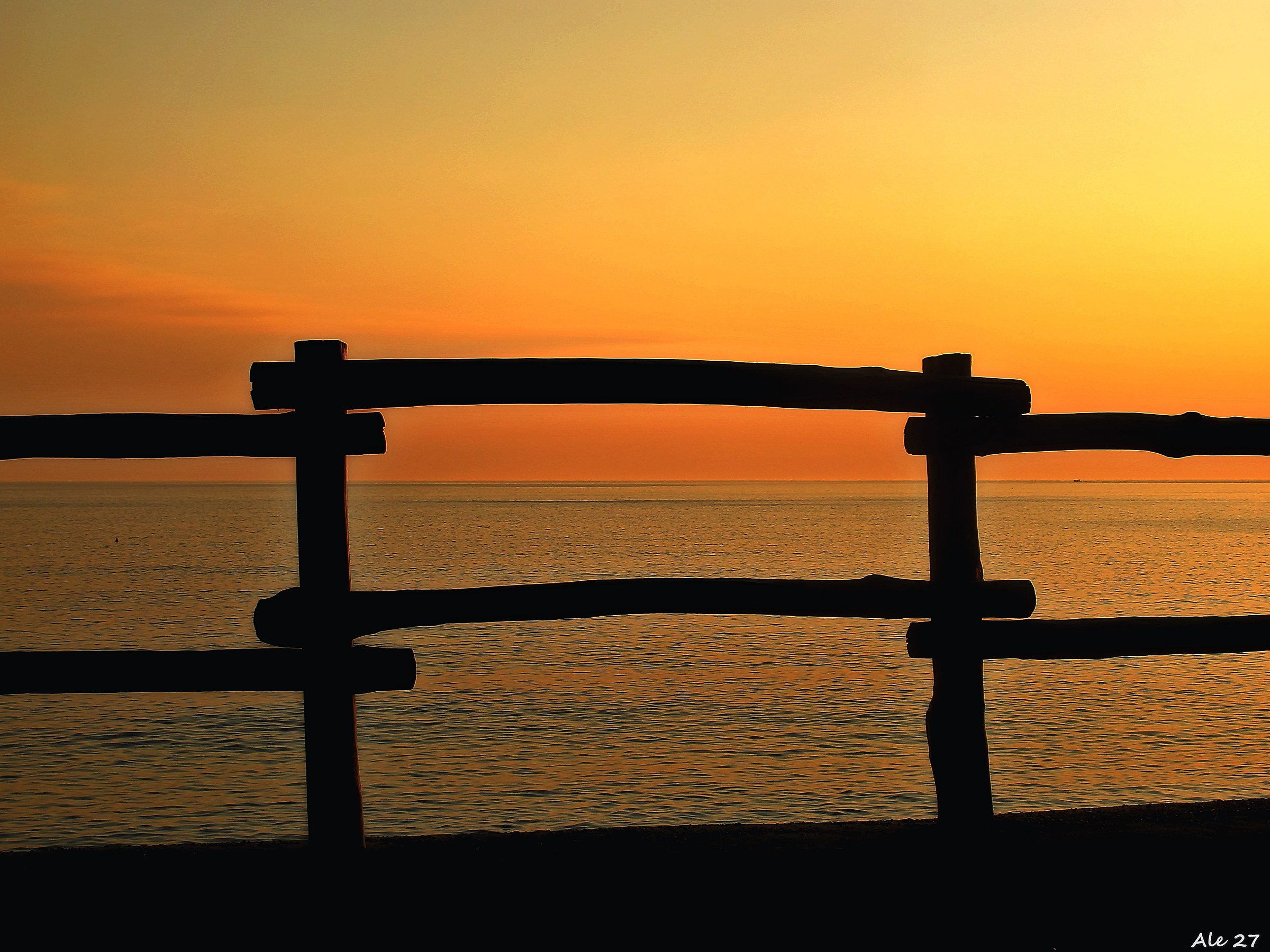 ... Over the fence ....