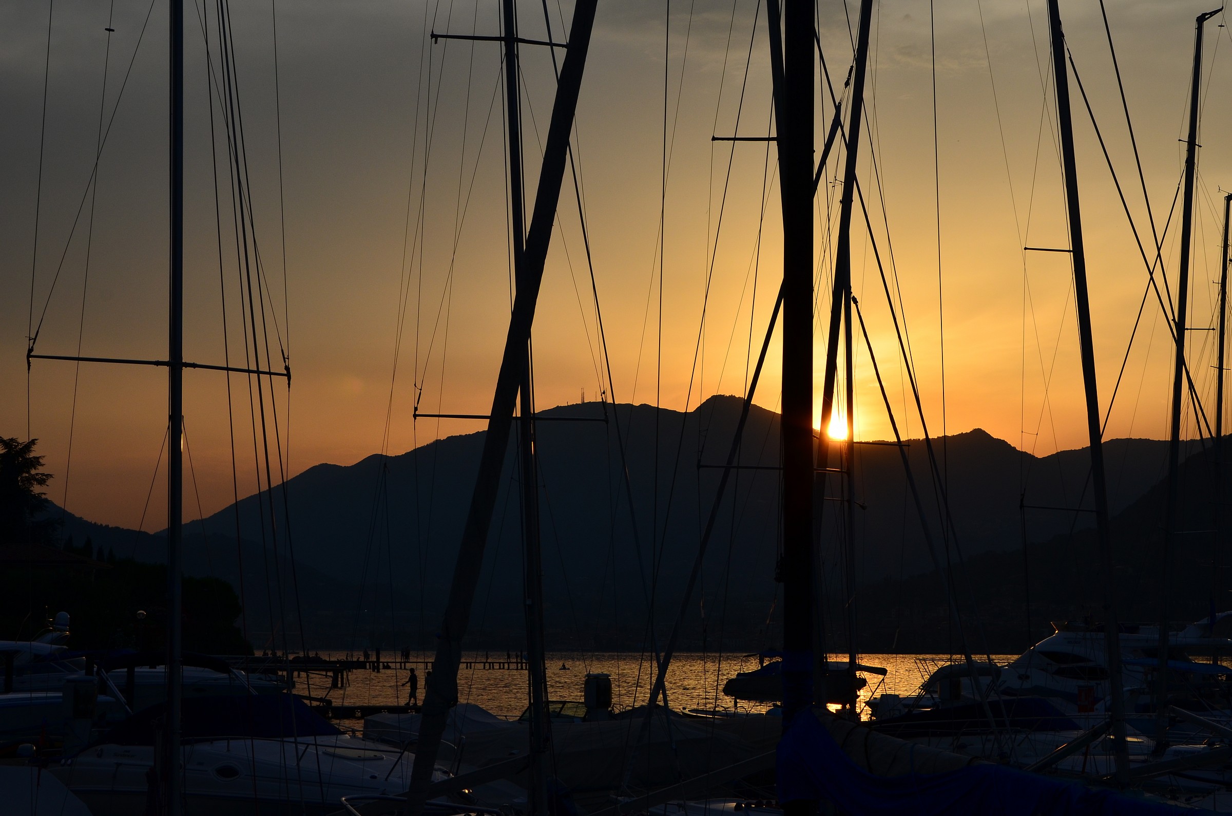 Tramonto tra gli alberi