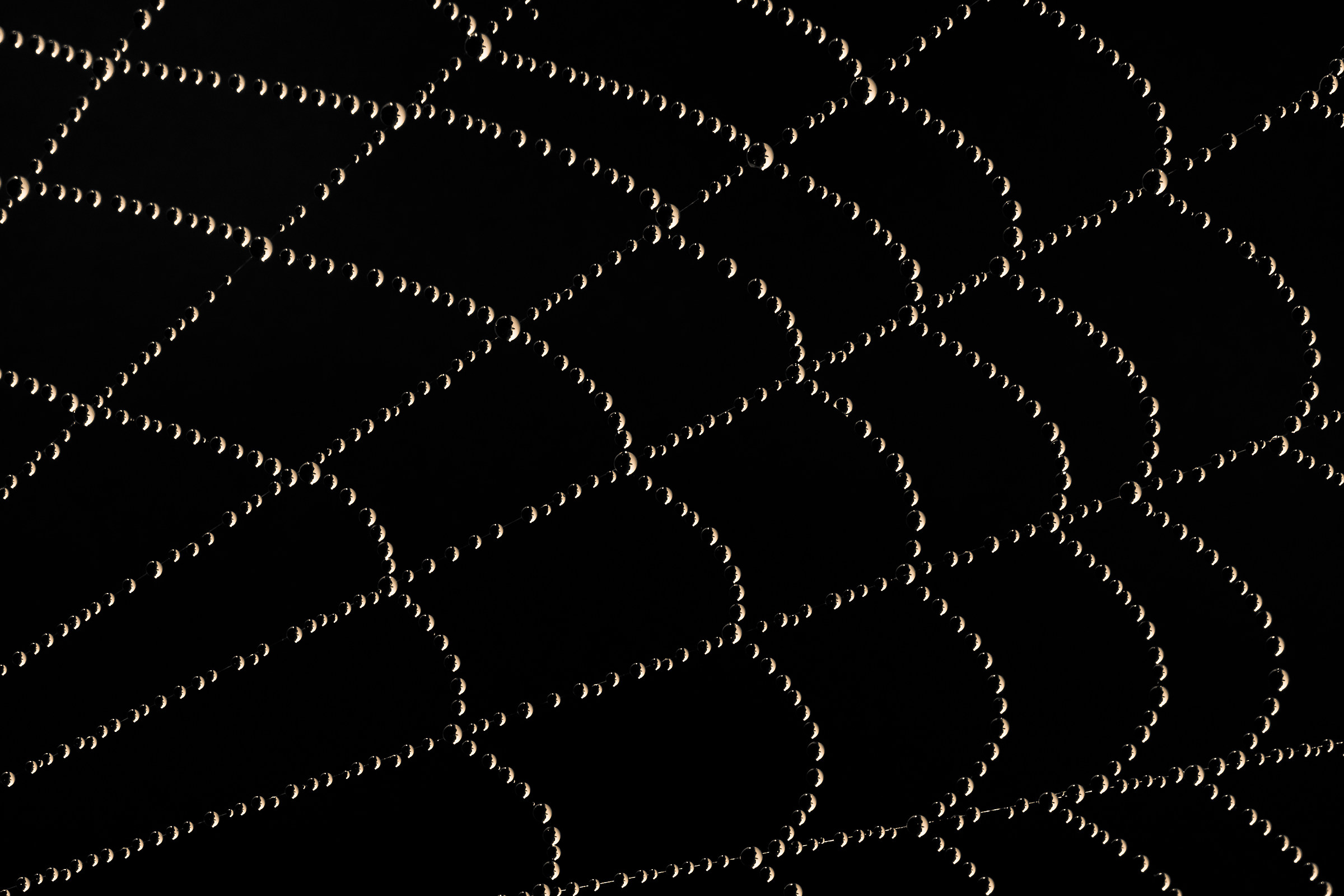 Le piccole goccie di rugiada