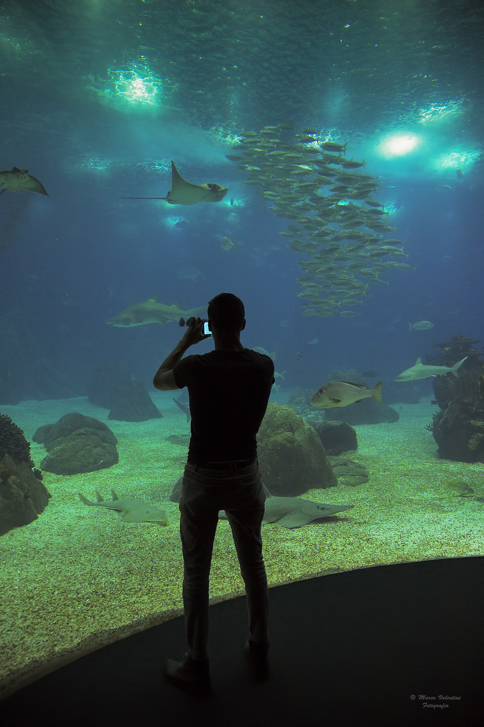 The sea ... in a smartphone