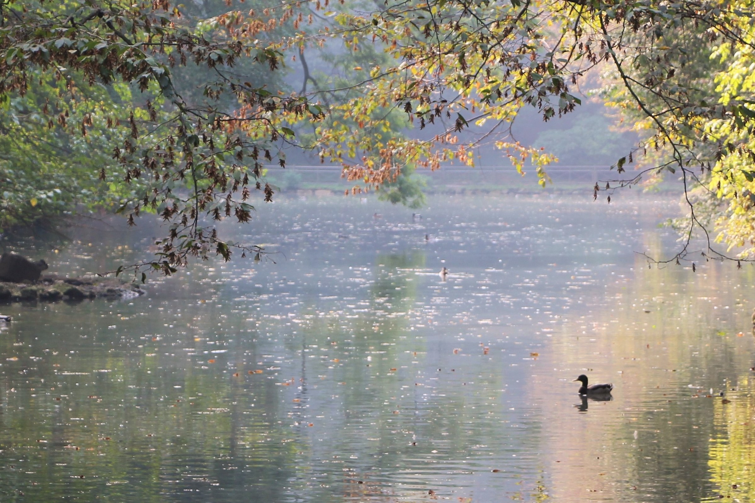 mattino di settembre