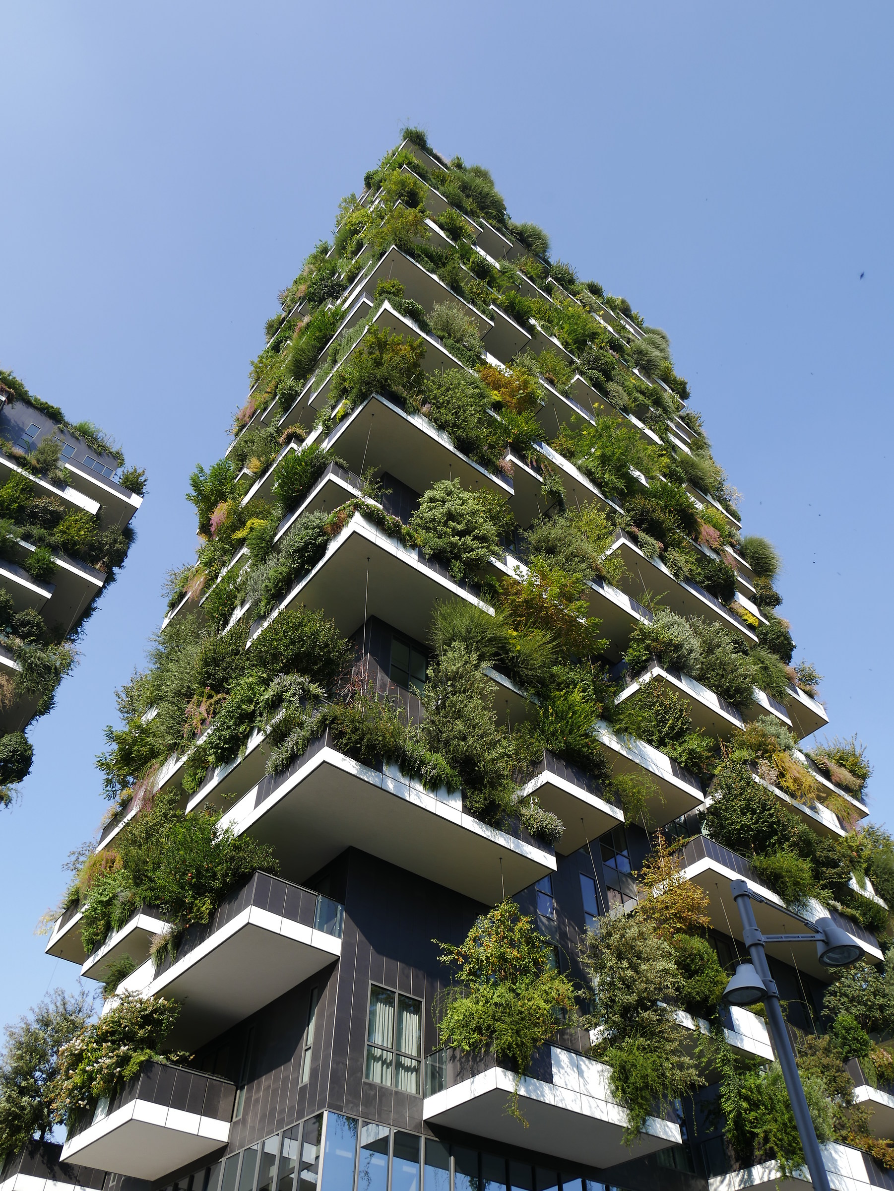 vertical forest