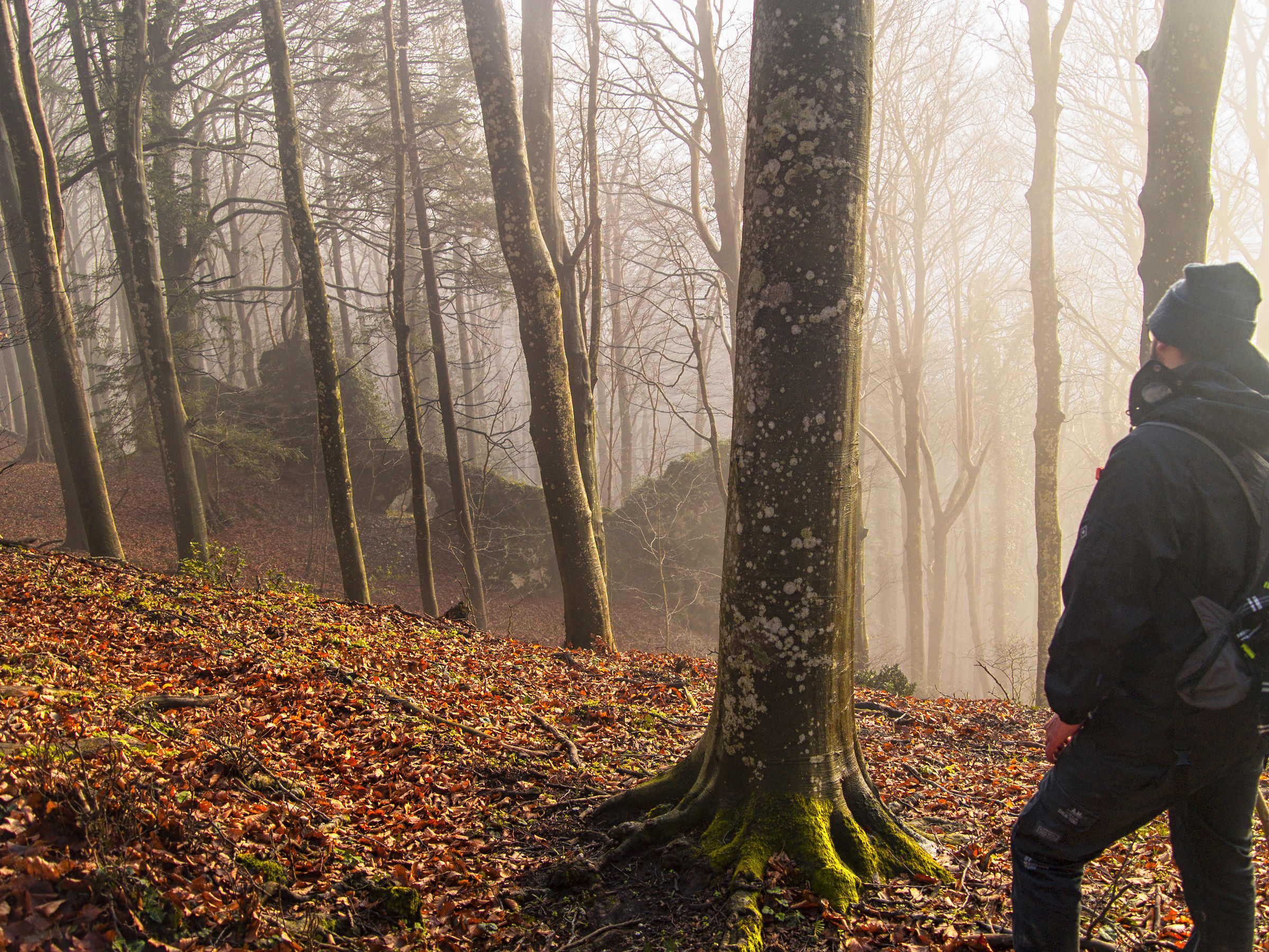 Ancient cottage forest Bourbon. Monte Taburno