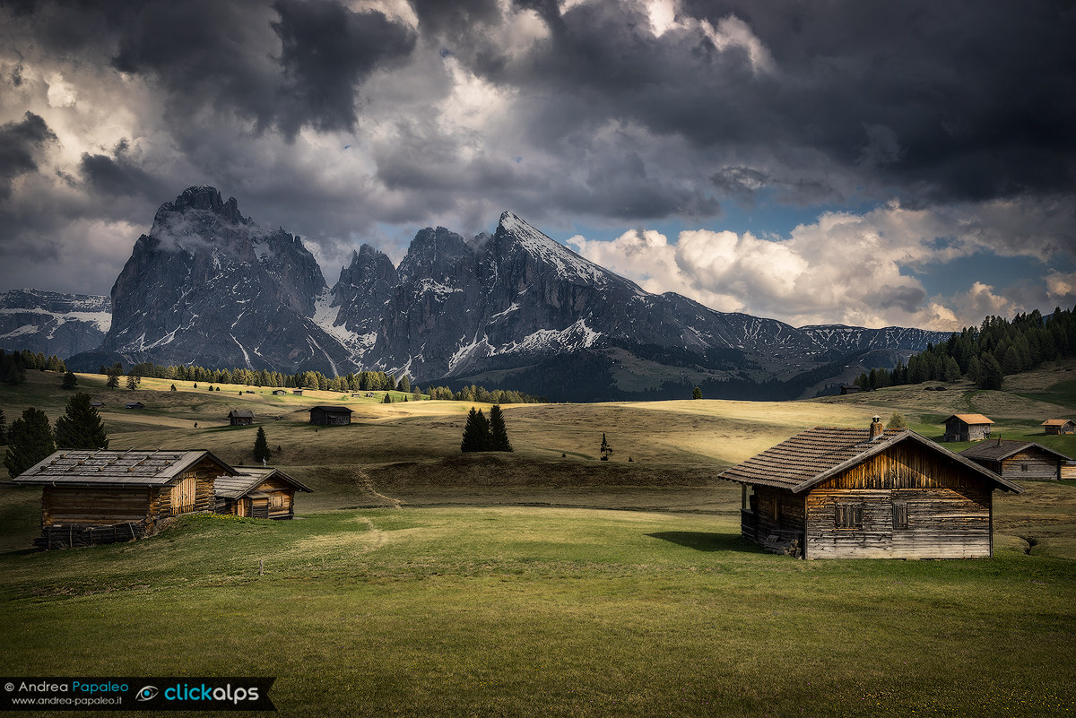 Seiser Alm/Alpe di Siusi
