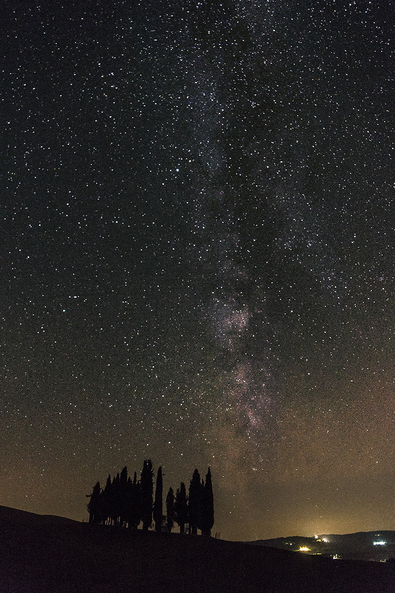 Cypress of San Quirico d'Orcia