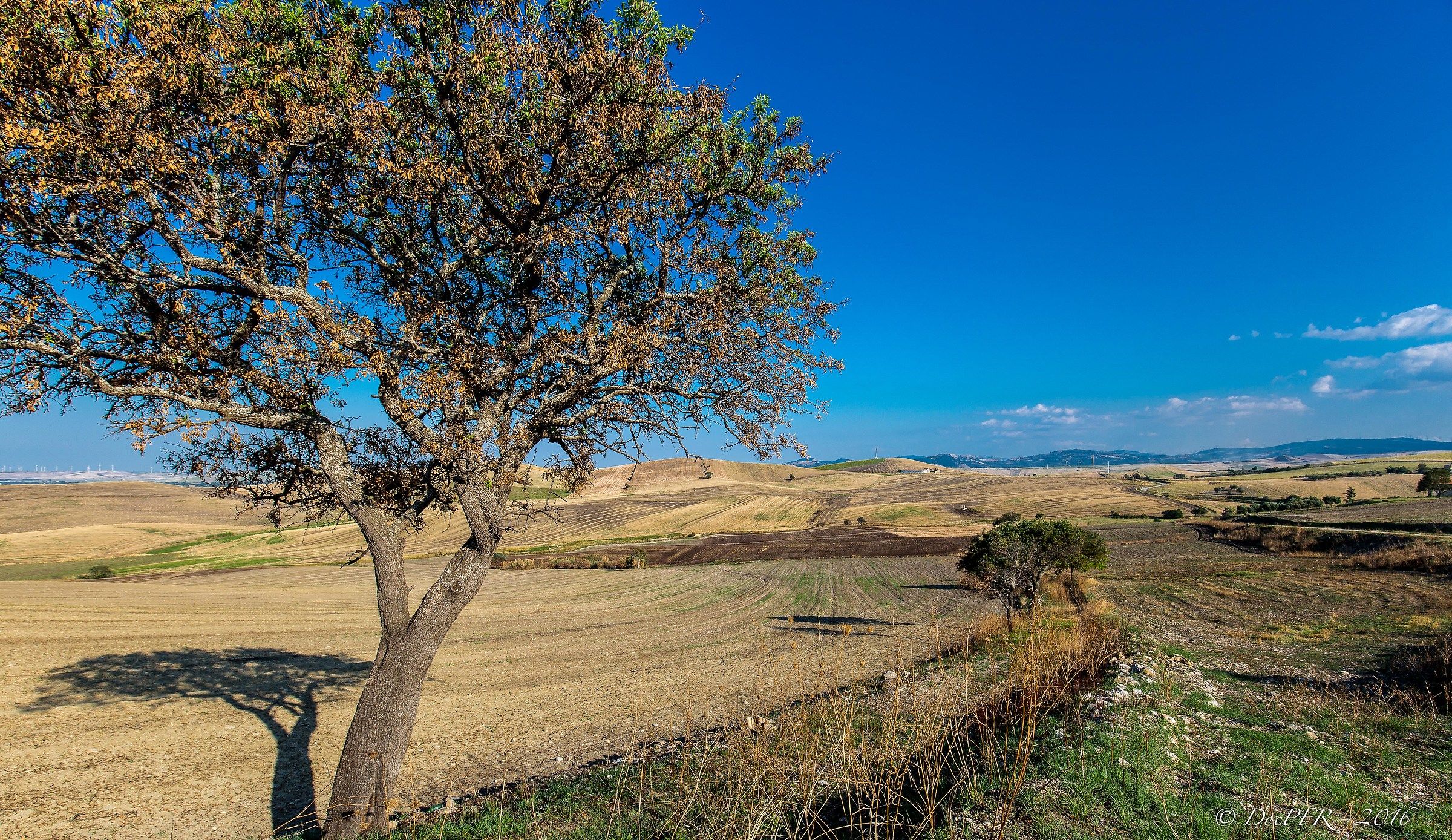 I colori della terra
