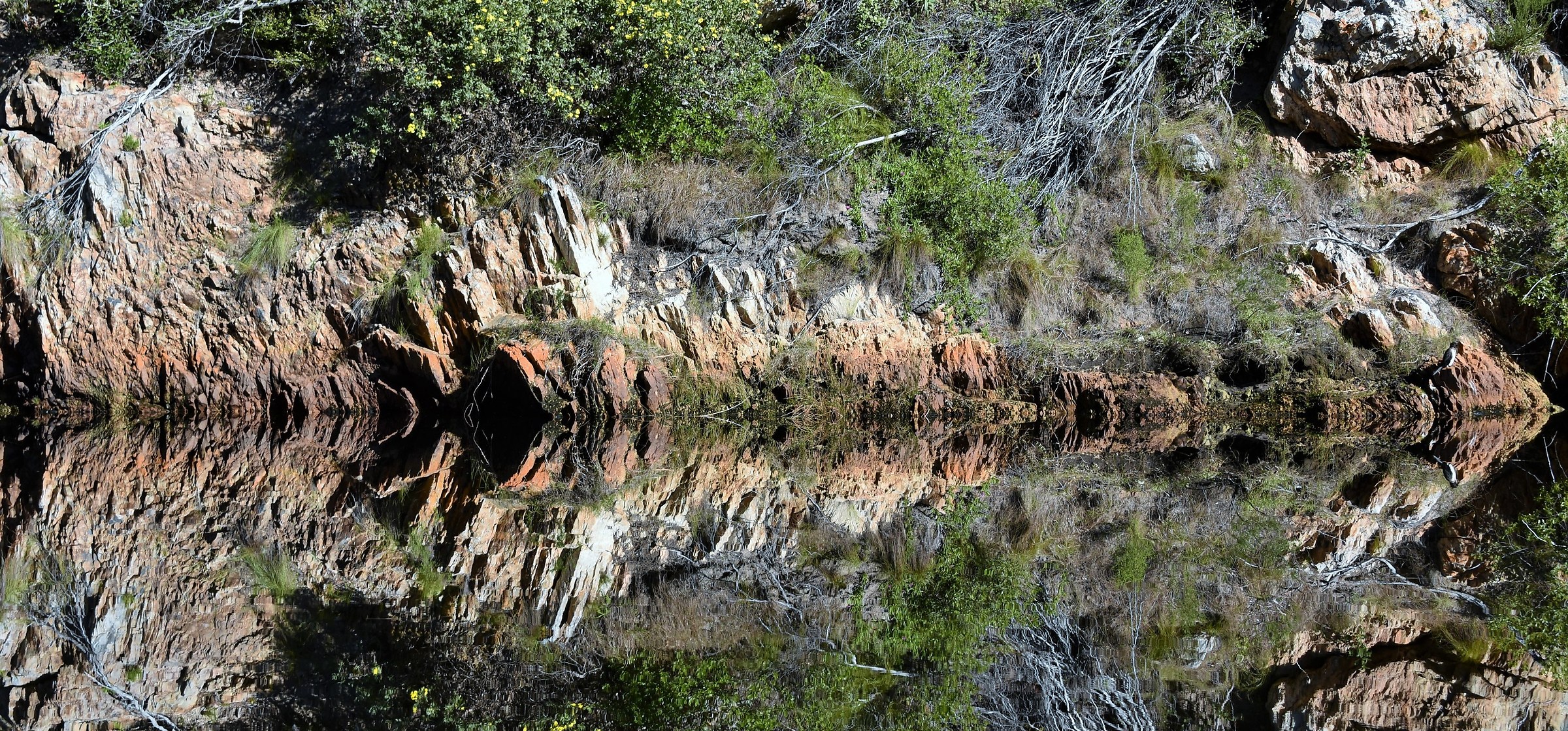 Riflessi sul fiume