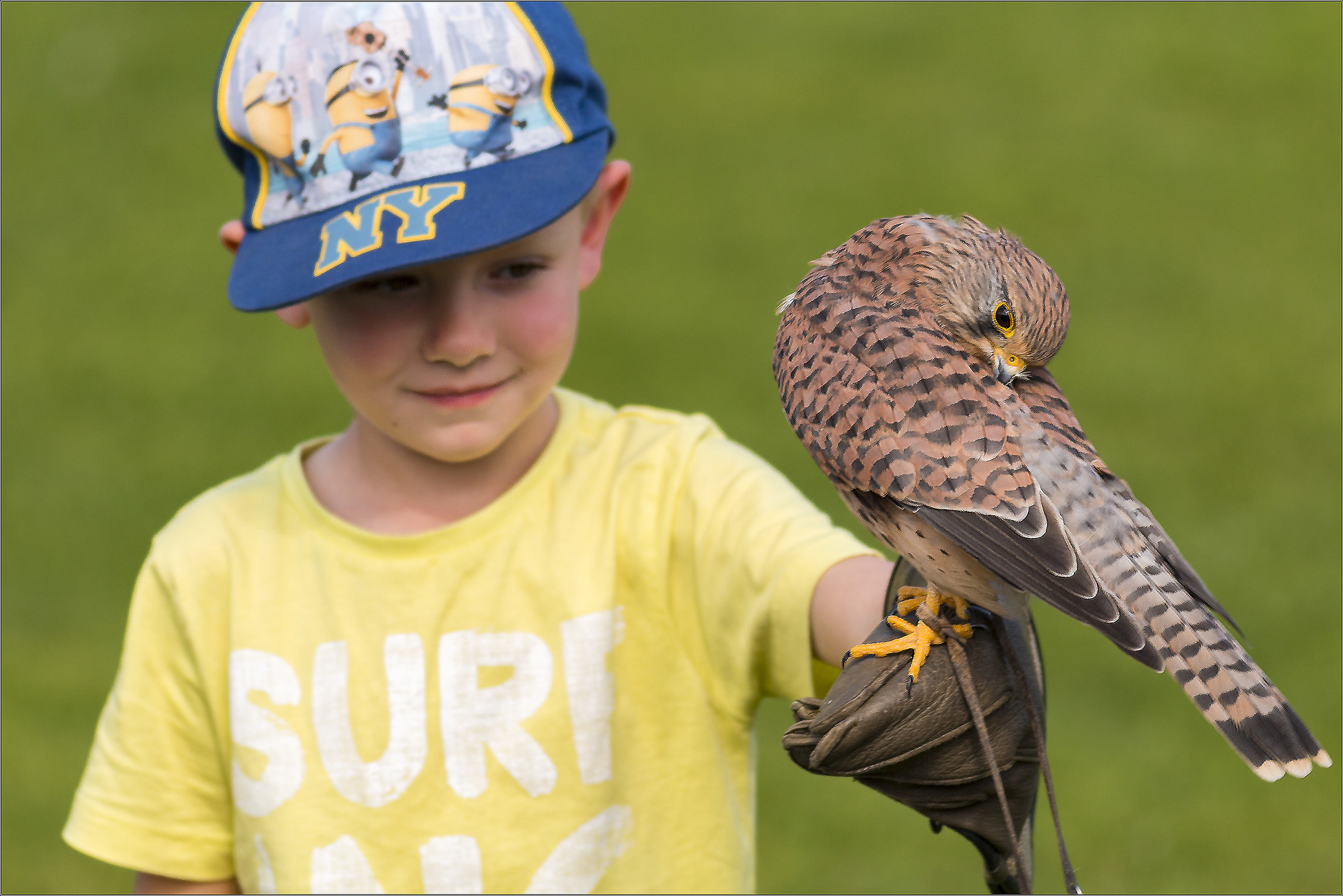 young falconer