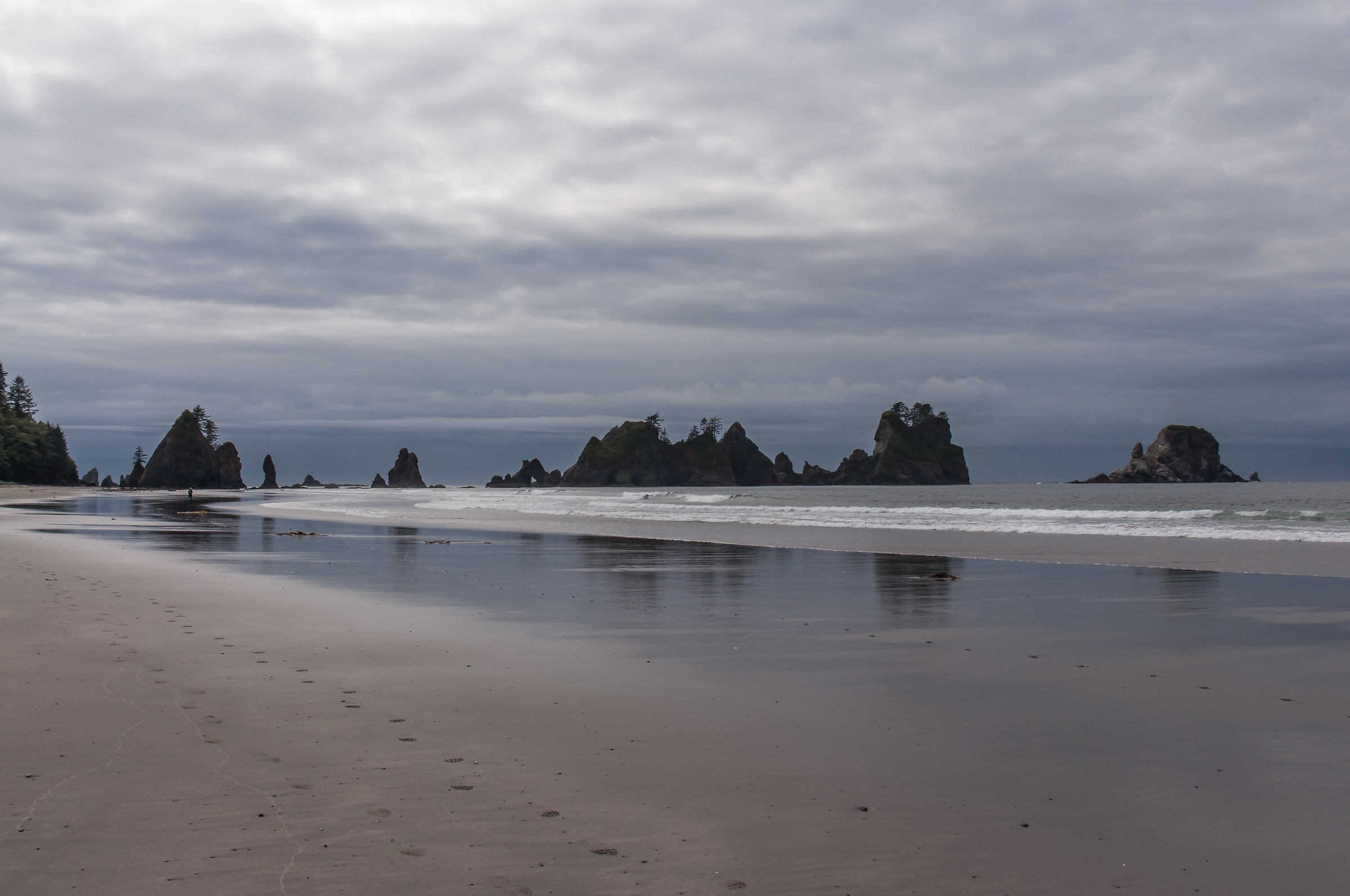 Shi shi beach - Olimpic NTL Park