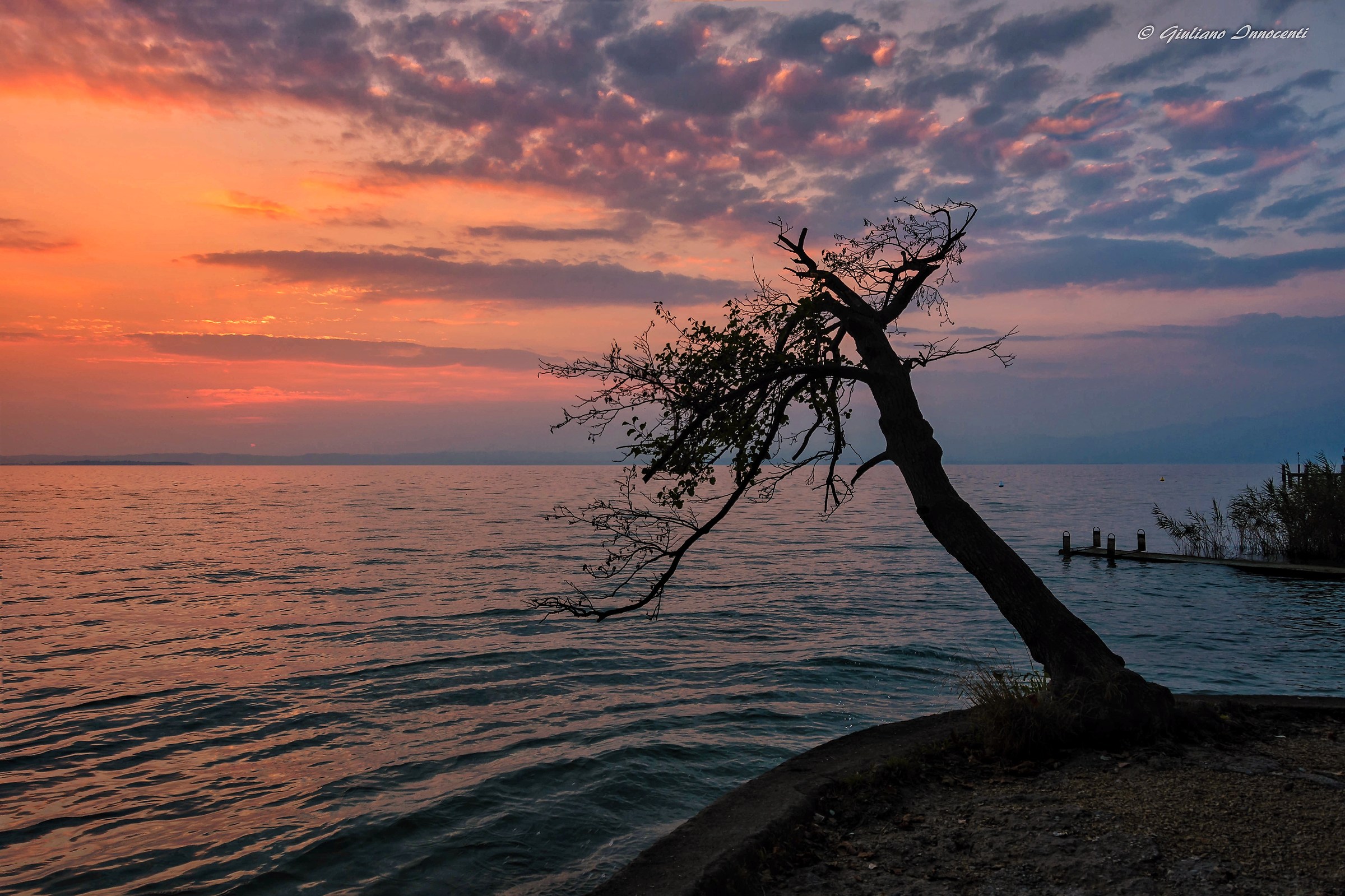 the last light before dark