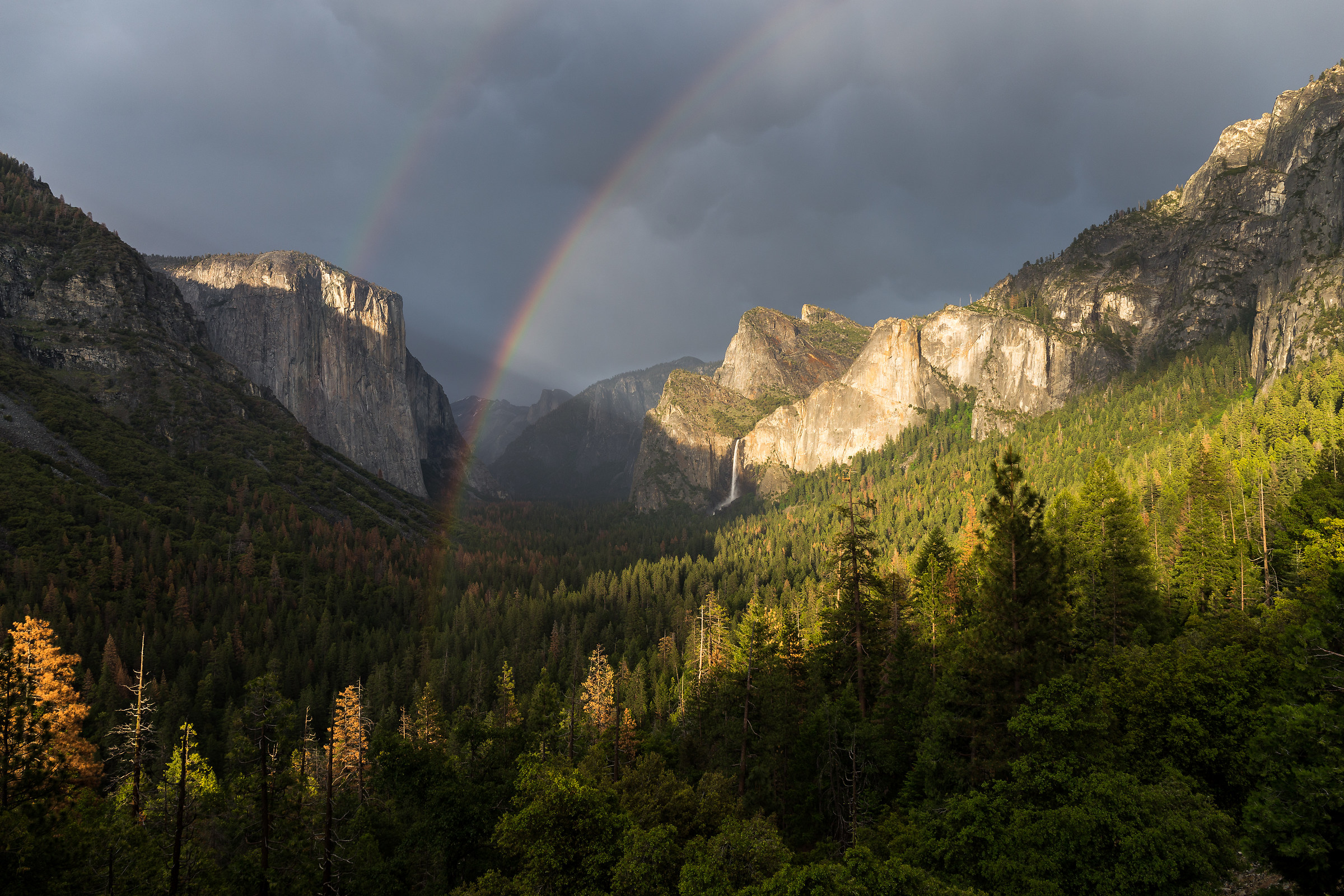 Yosemite National Park