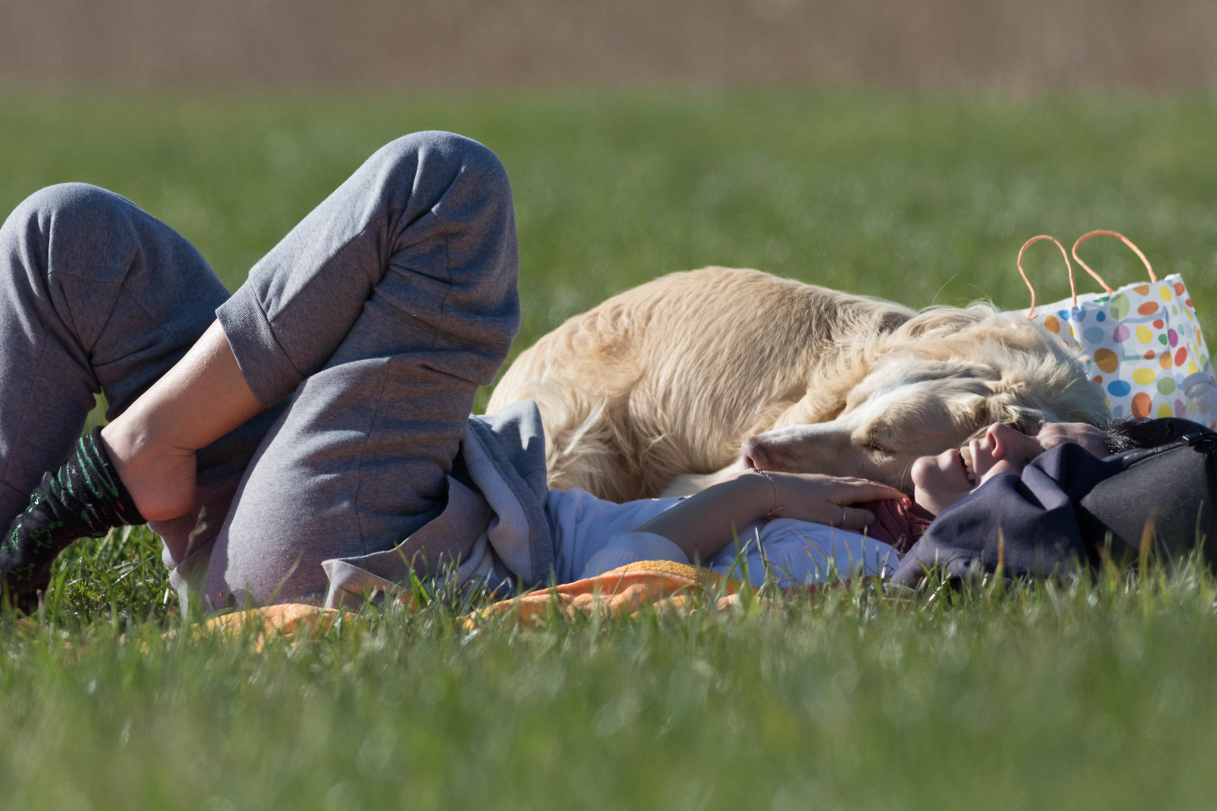 Momenti di felicità