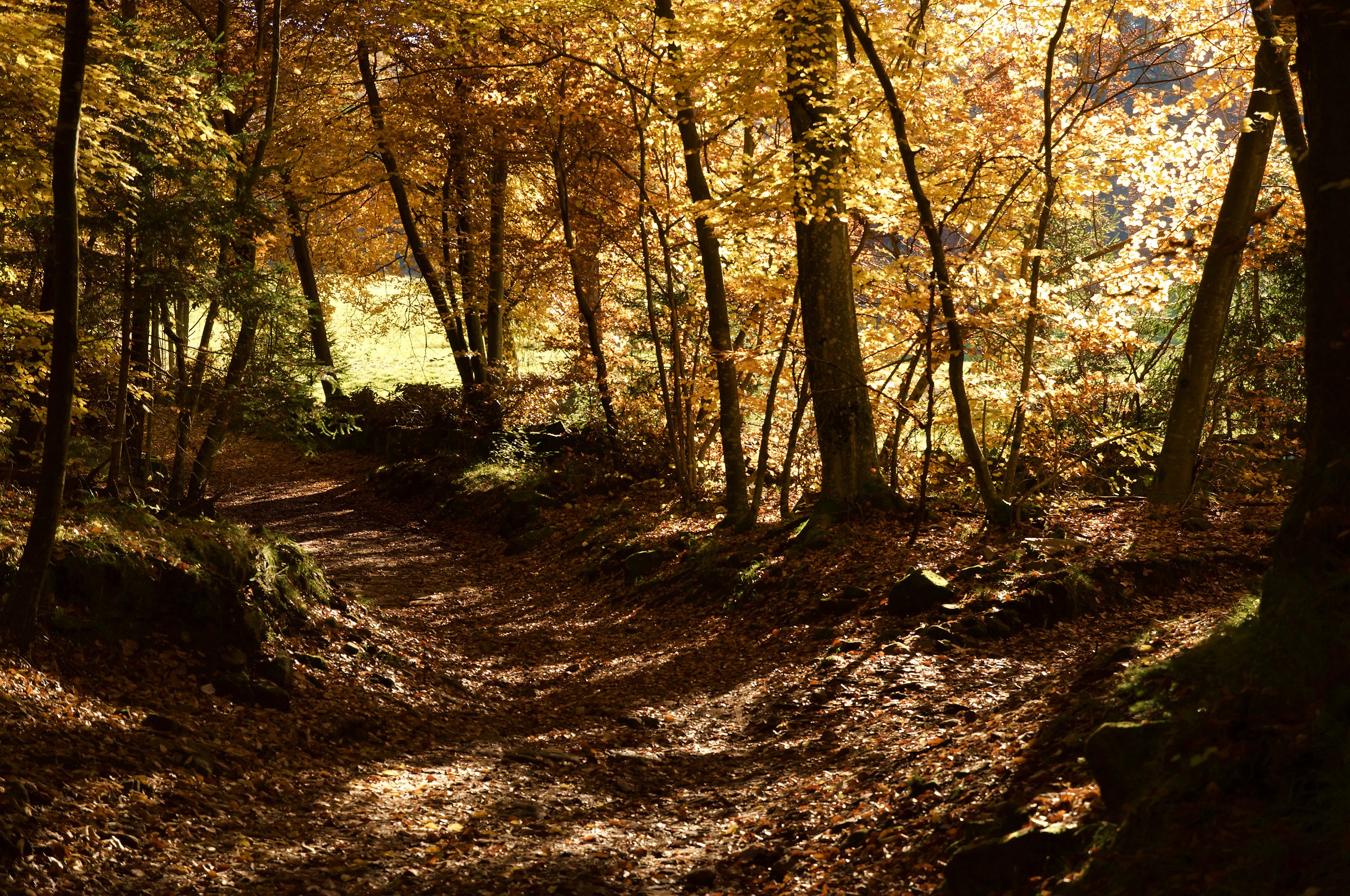 Le Gorghe-Vigo Meano