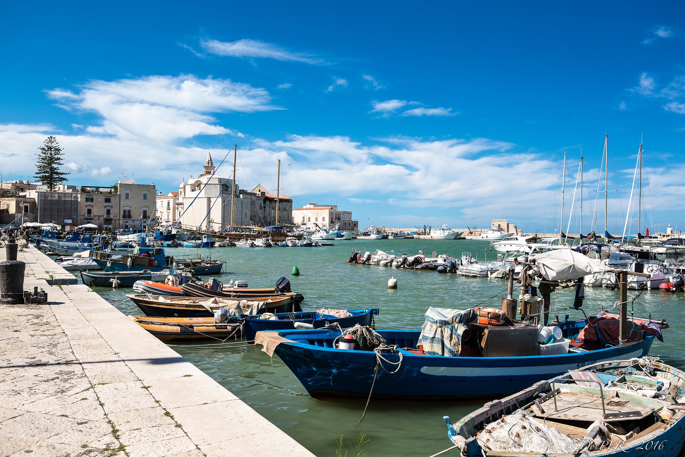 Trani - Il Porto