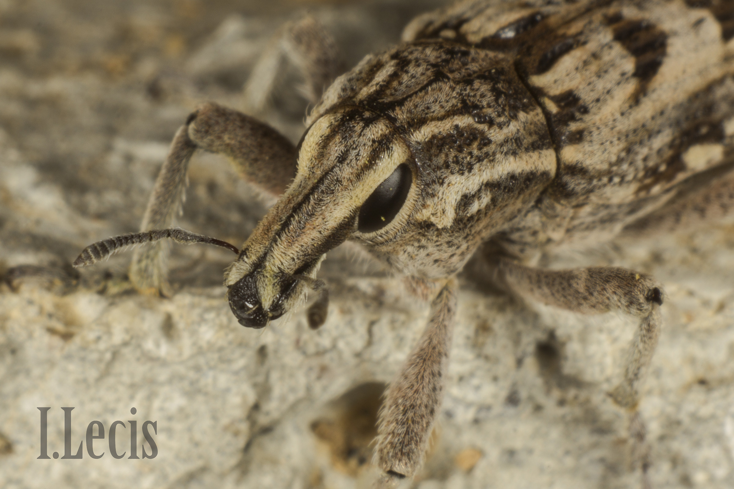 Close Encounters of the Third Kind