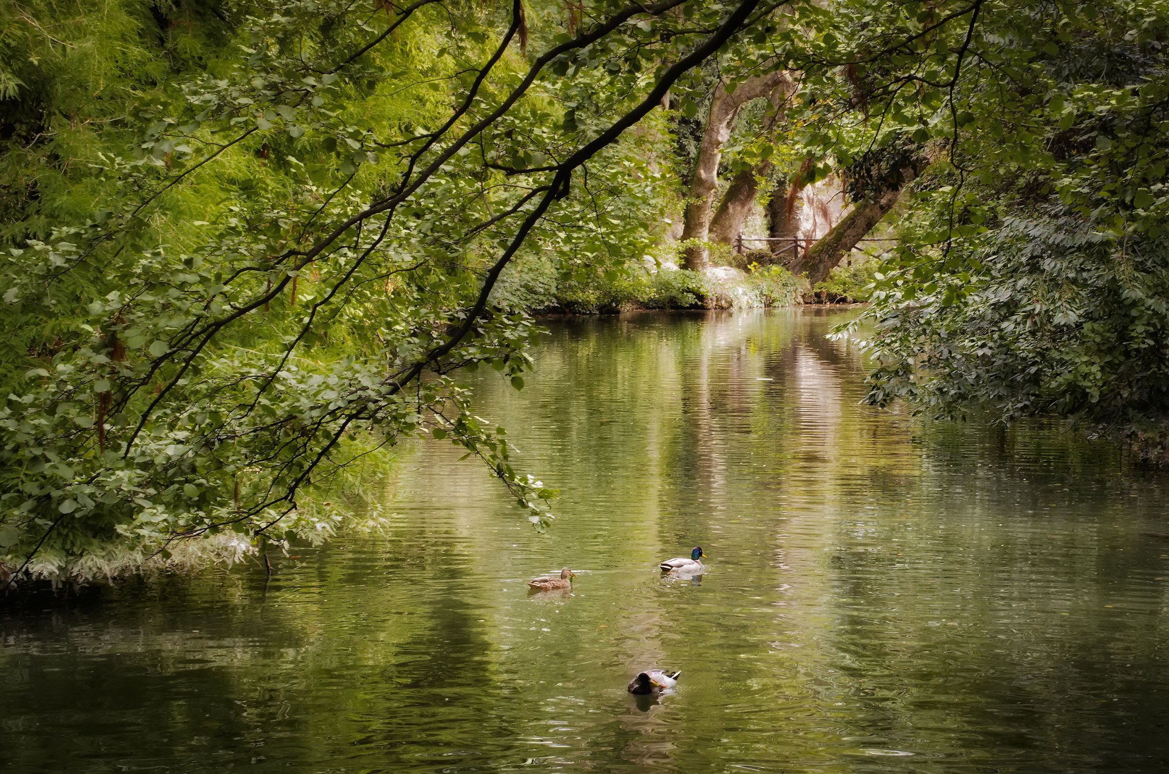 A contatto con la natura...