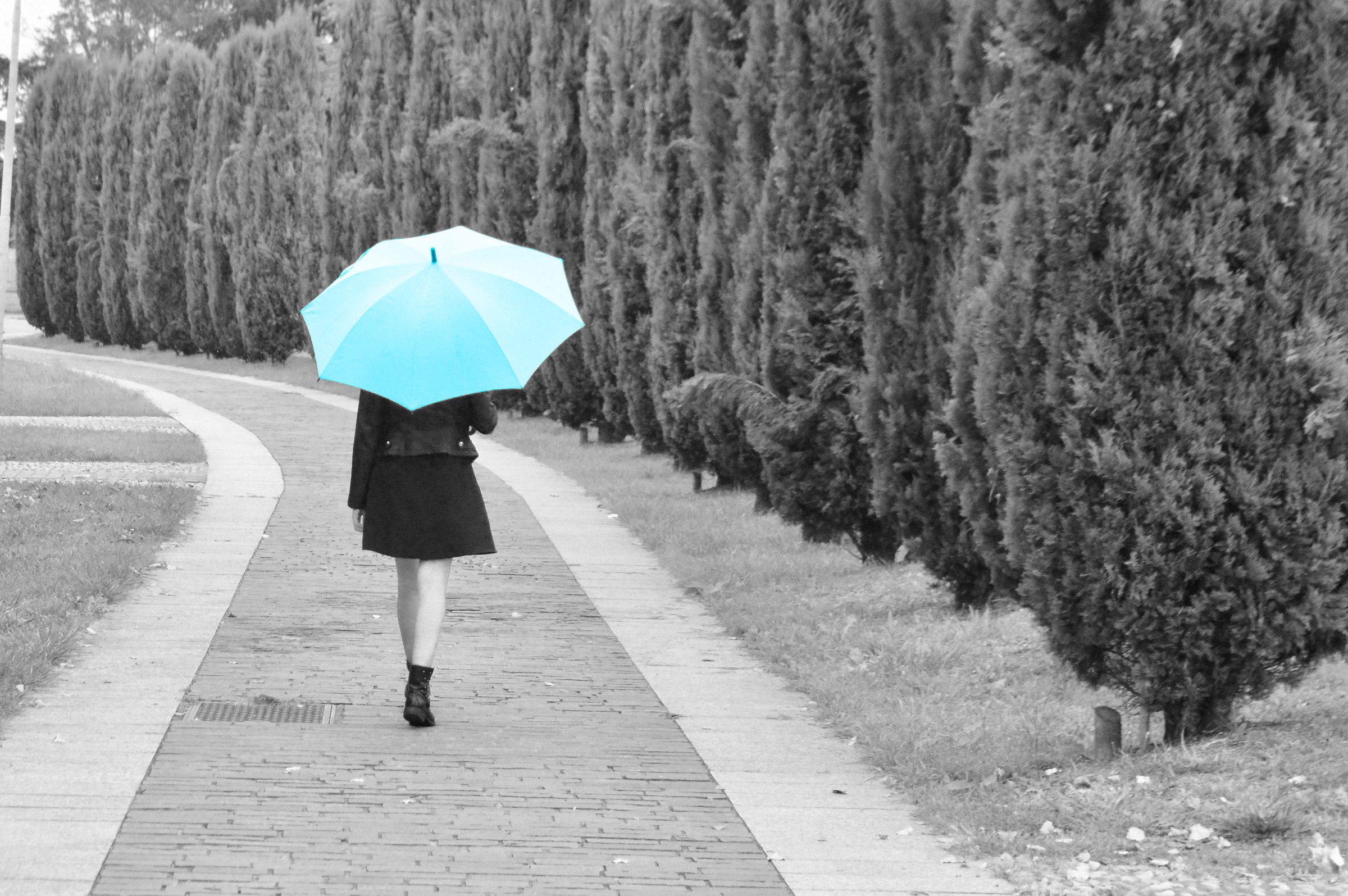 The girl and the rain