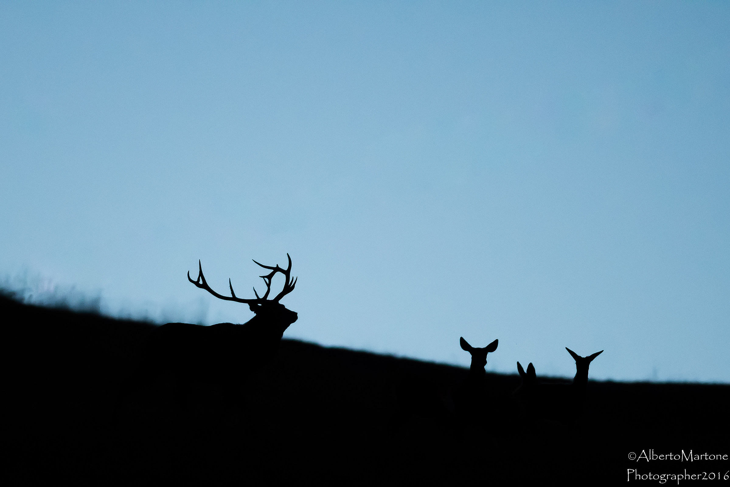 Profilo all'imbrunire