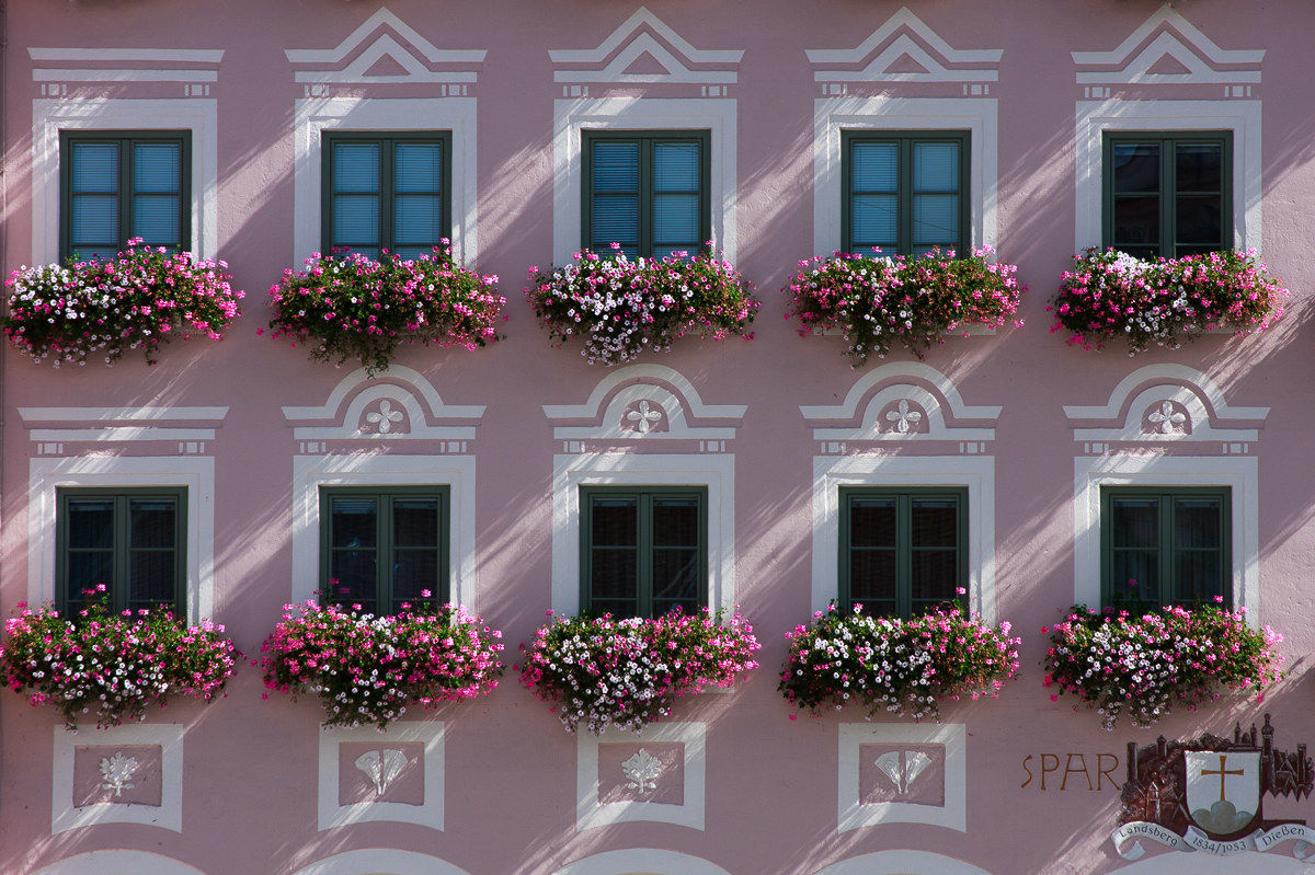 The ten windows in pink