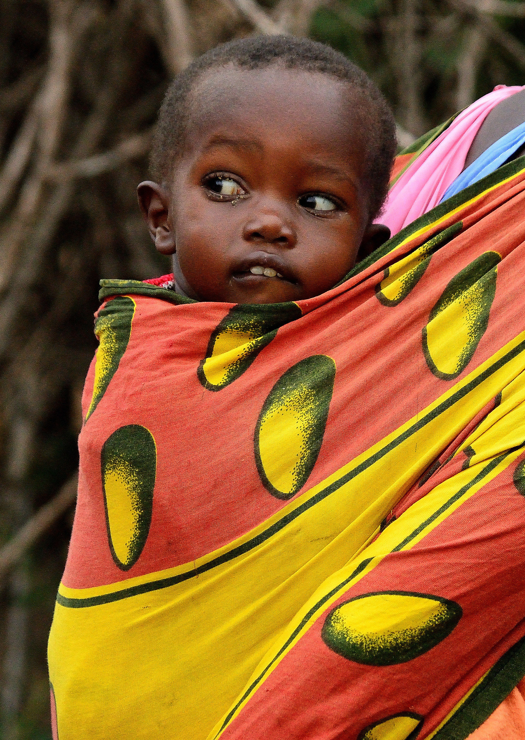 Stroller ... Shoulder