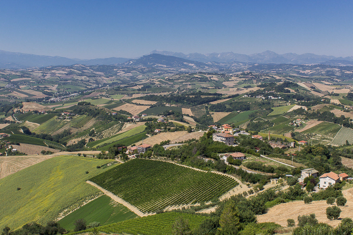 Panorama marchigiano