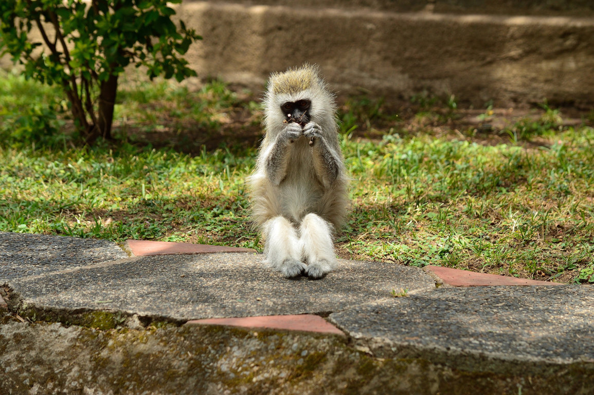 He loves me or loves me not?