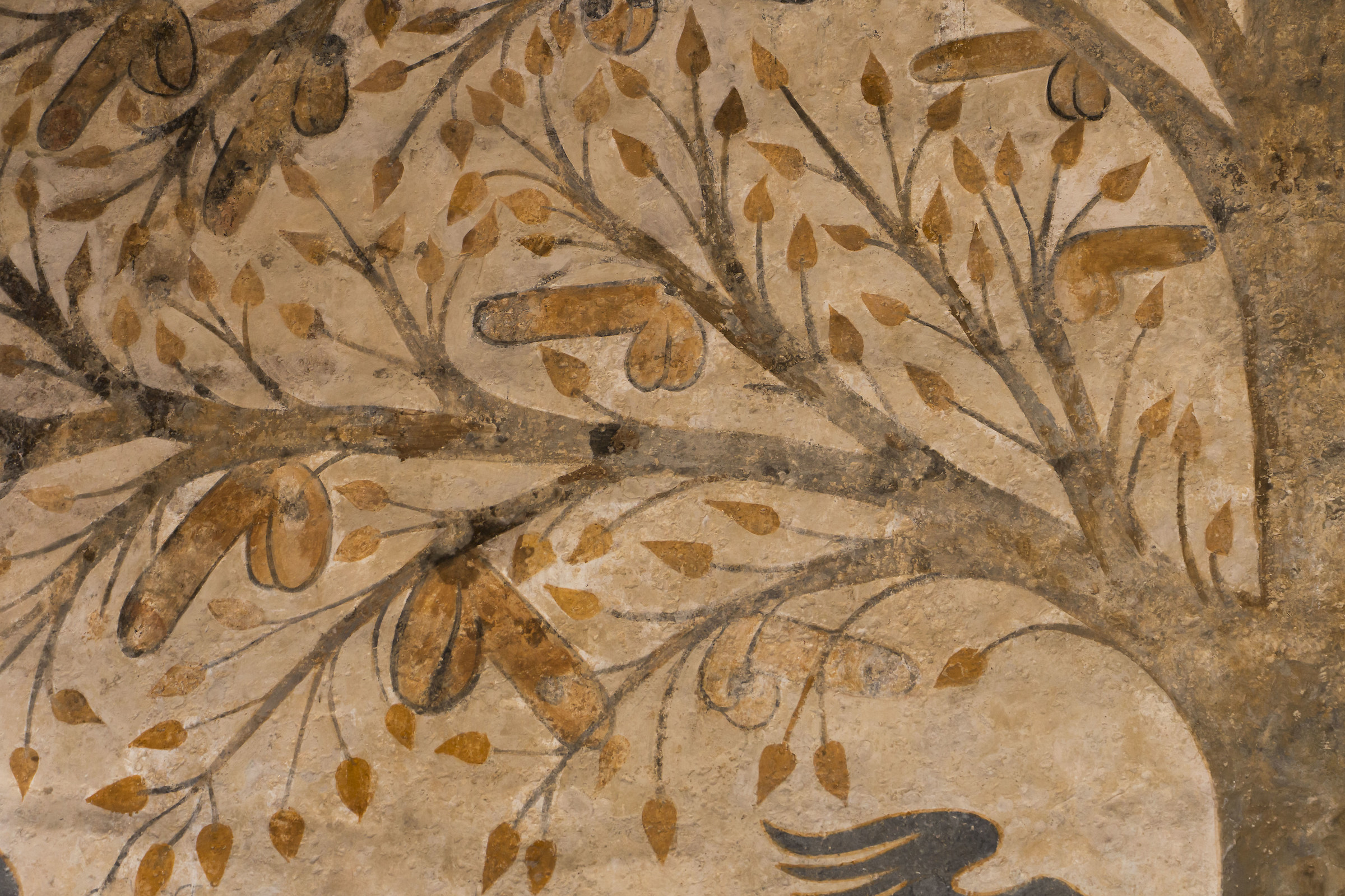 the tree of abundance